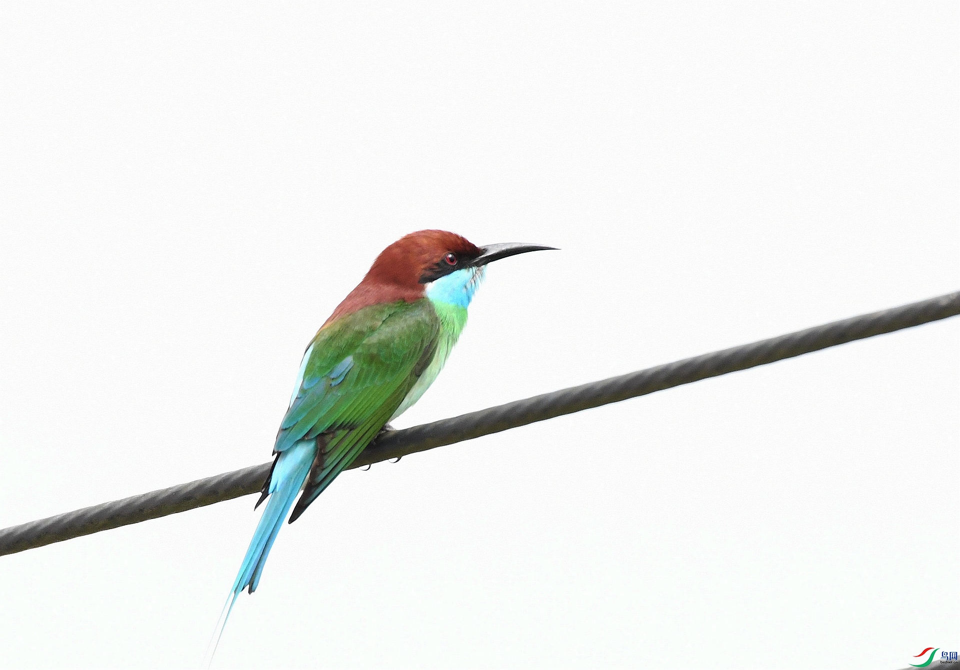 DSC_8177.jpg