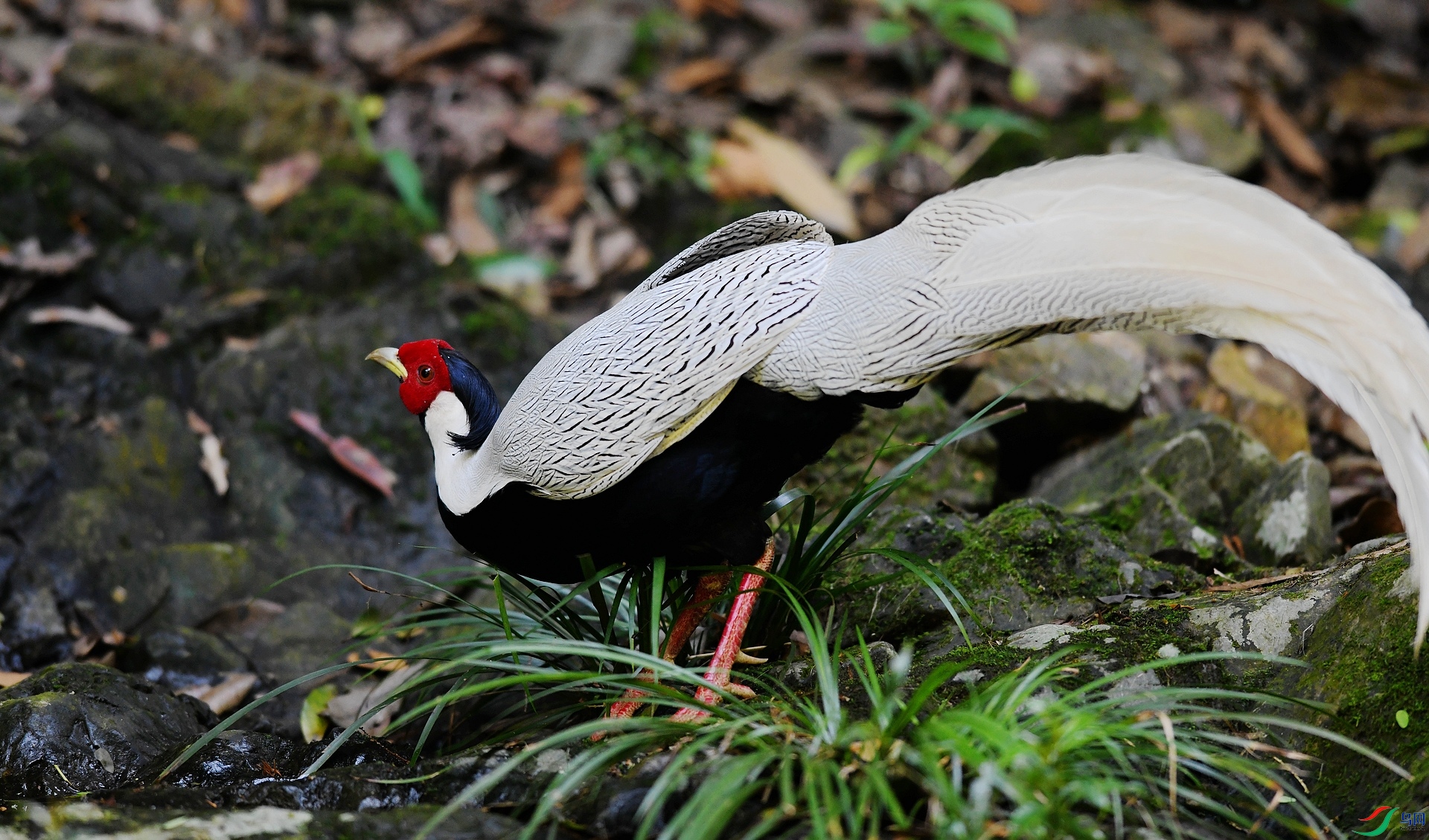 DSC_3987.jpg