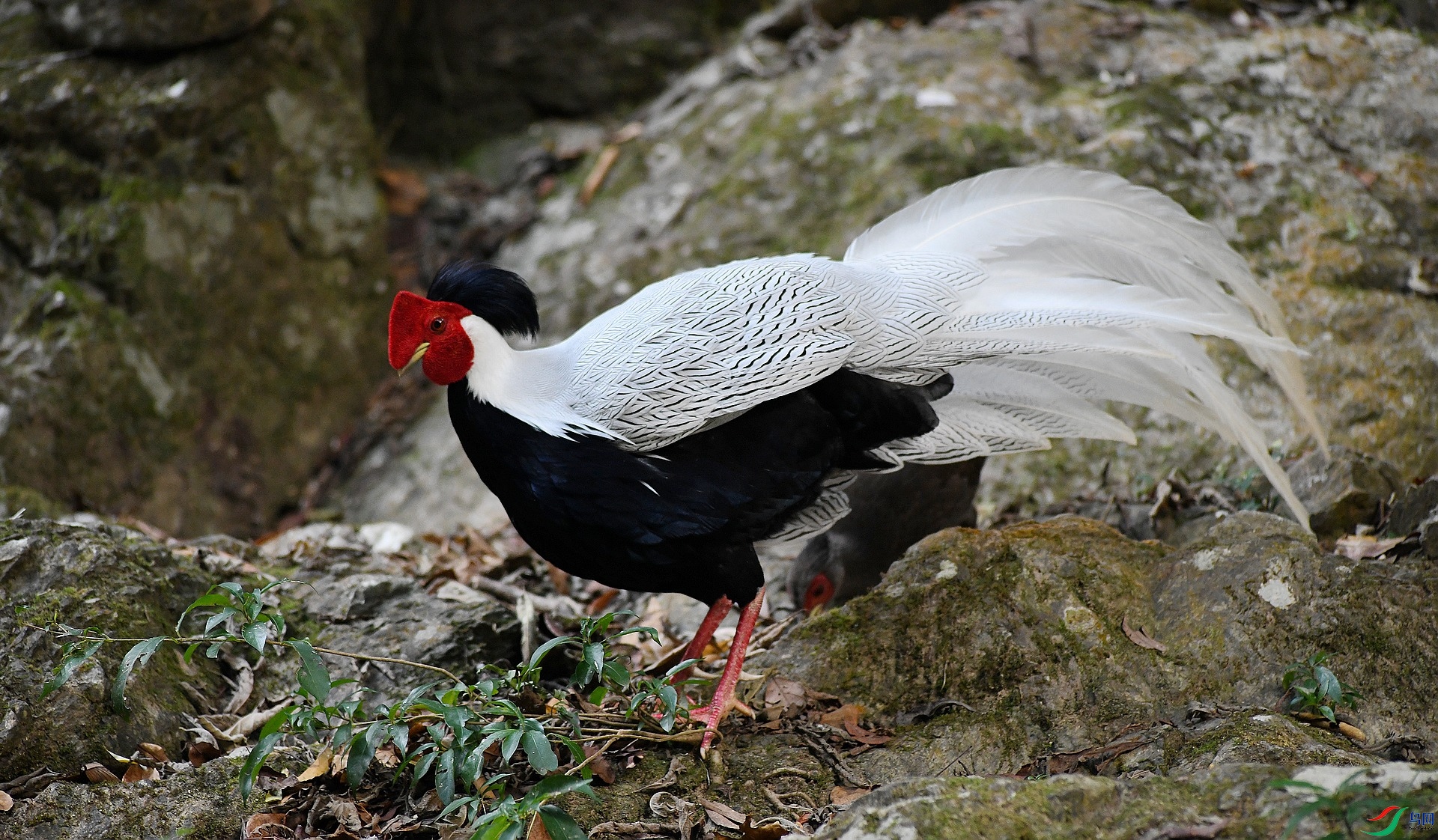 DSC_8791.jpg