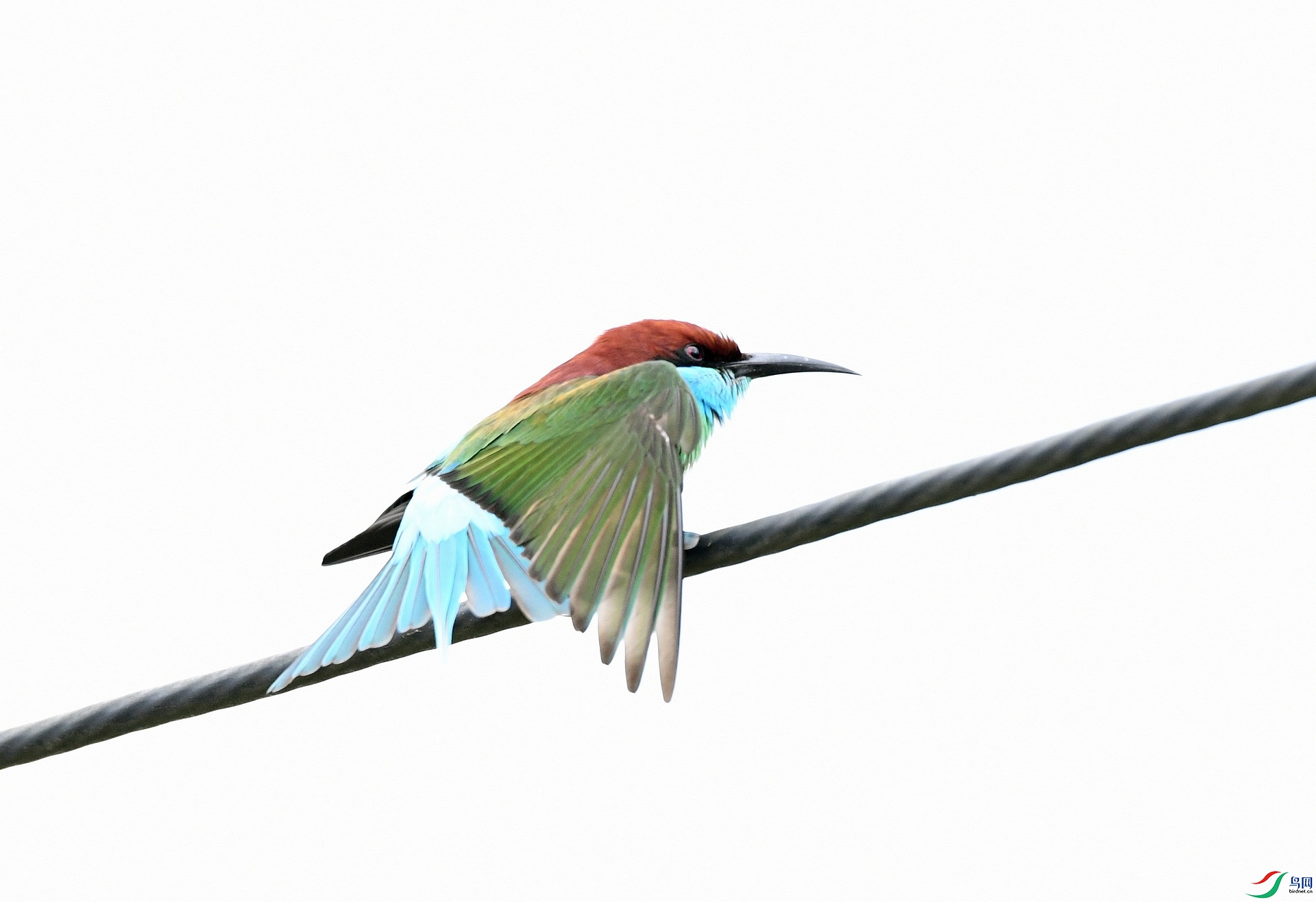 DSC_8132.jpg