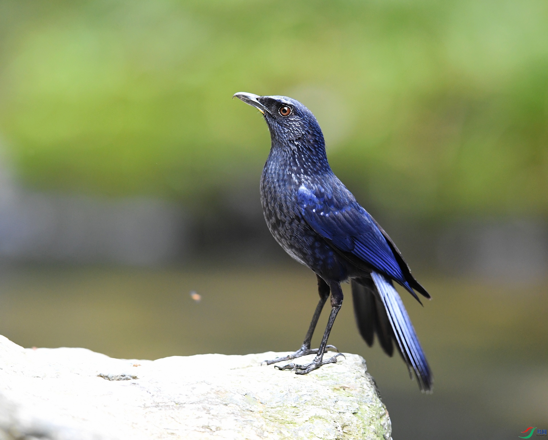 DSC_5840.jpg
