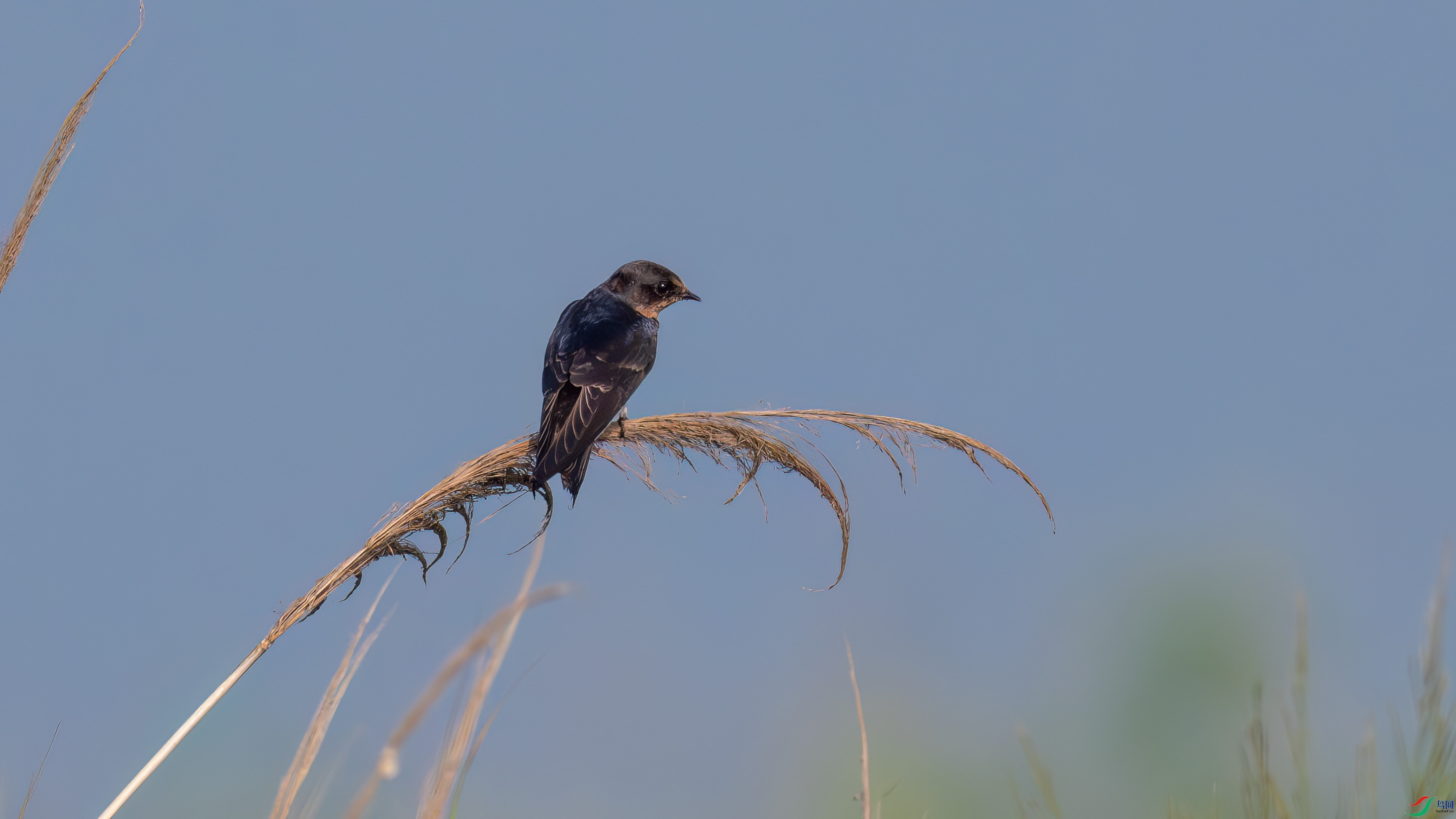 DSC_1564.jpg