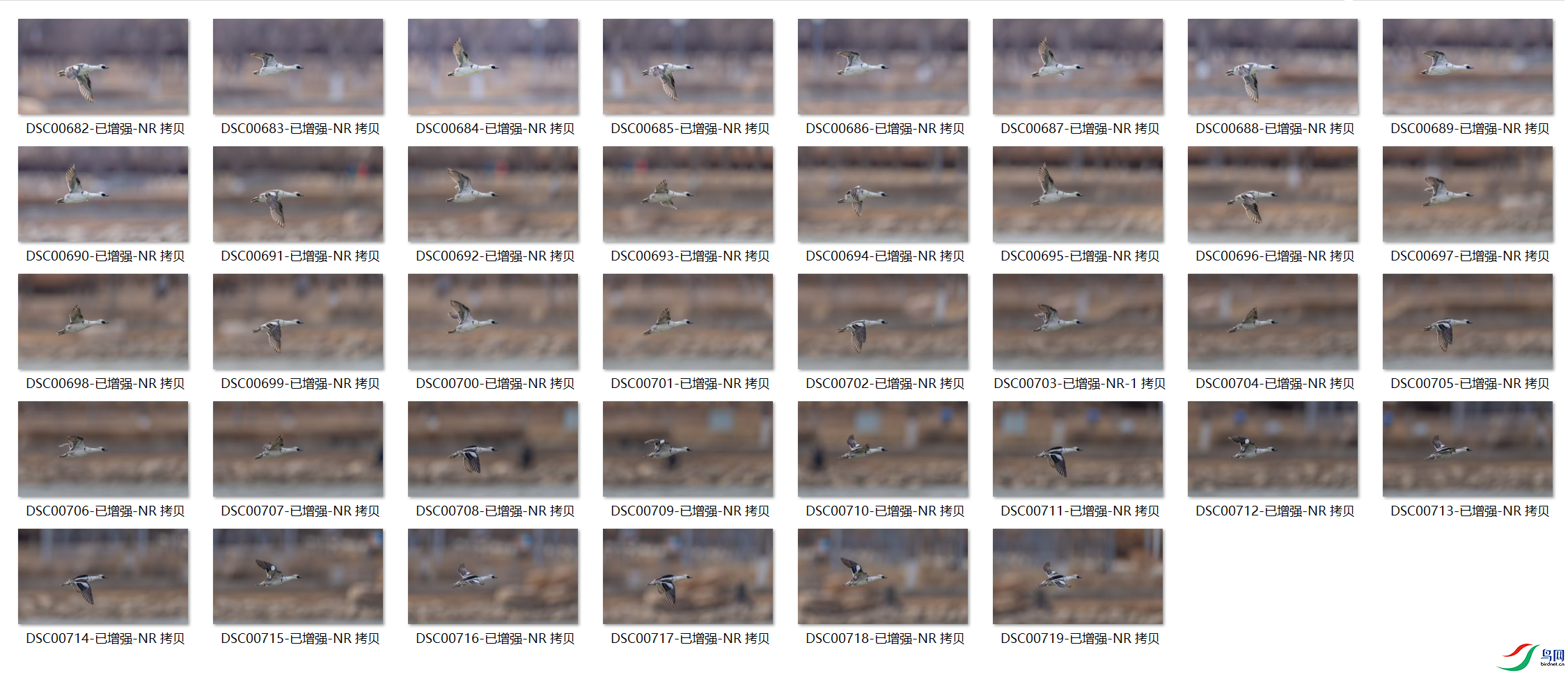 QQ_1777732696190.png