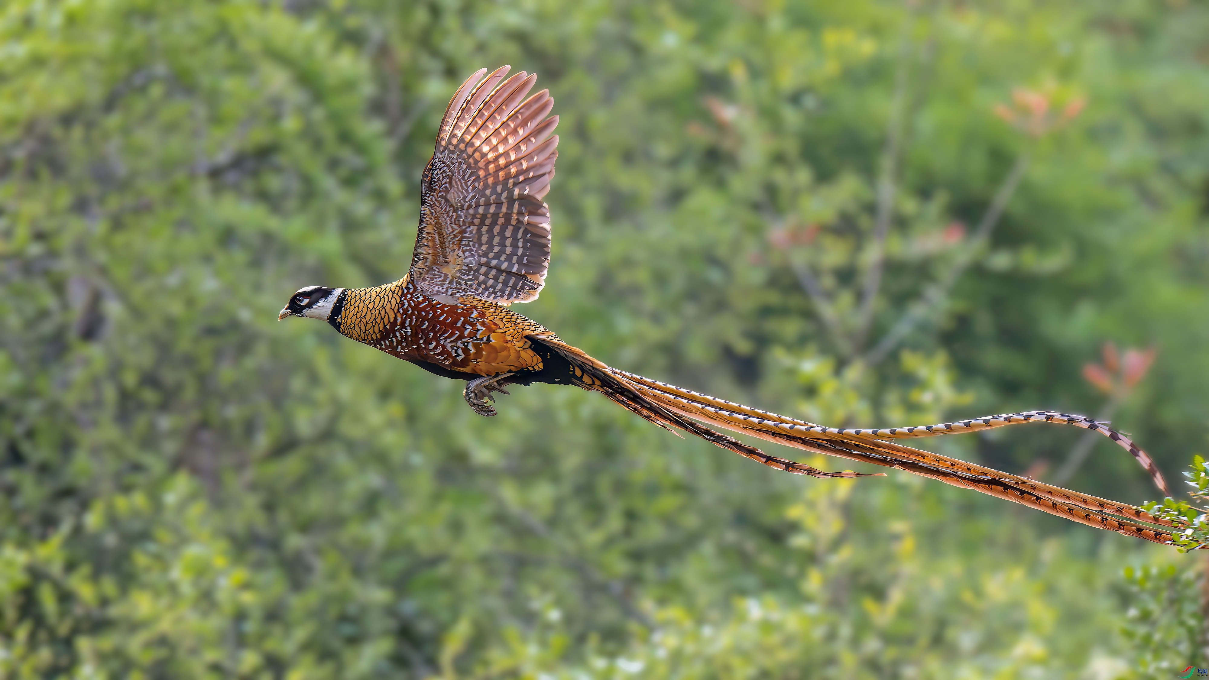DSC_1880.jpg