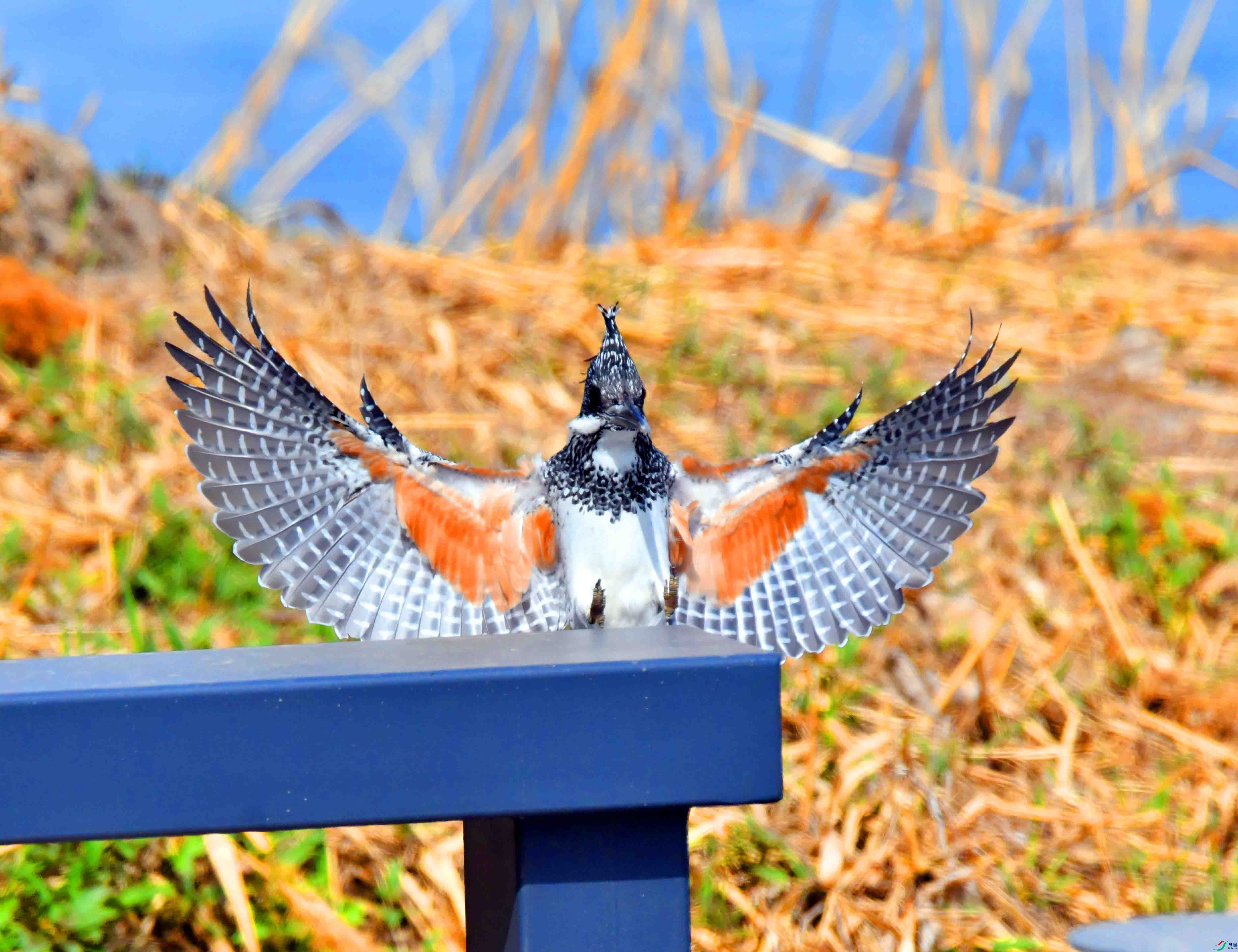DSC_0022.JPG