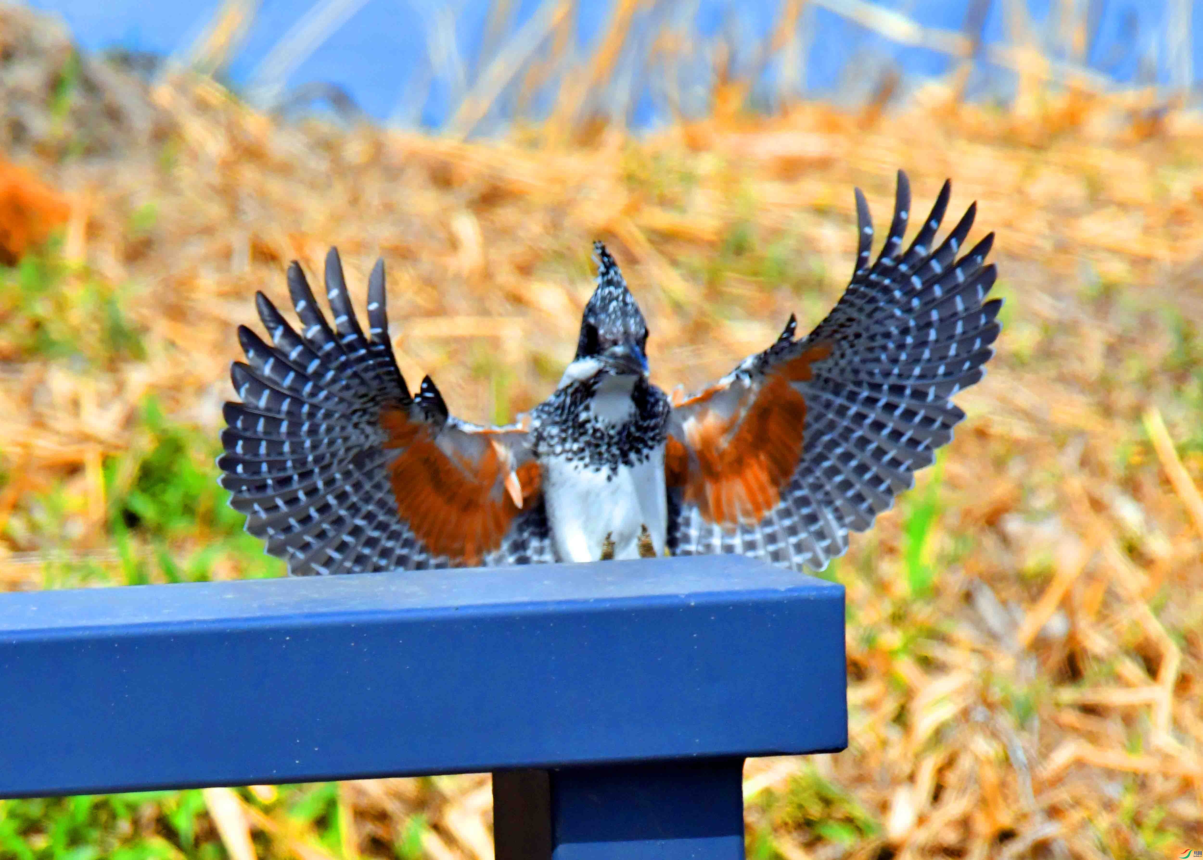 DSC_0021.JPG