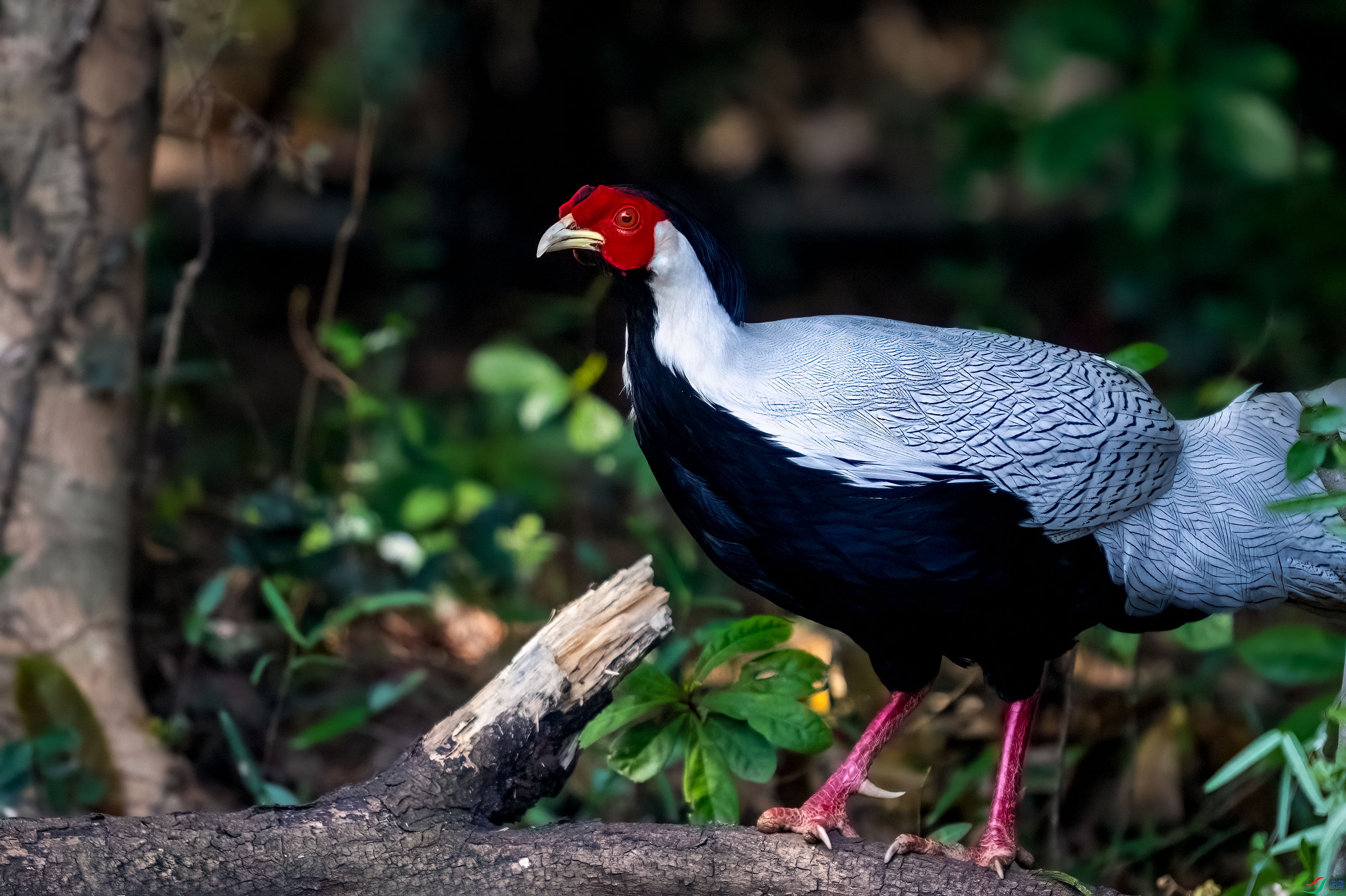 _DSC8607.jpg