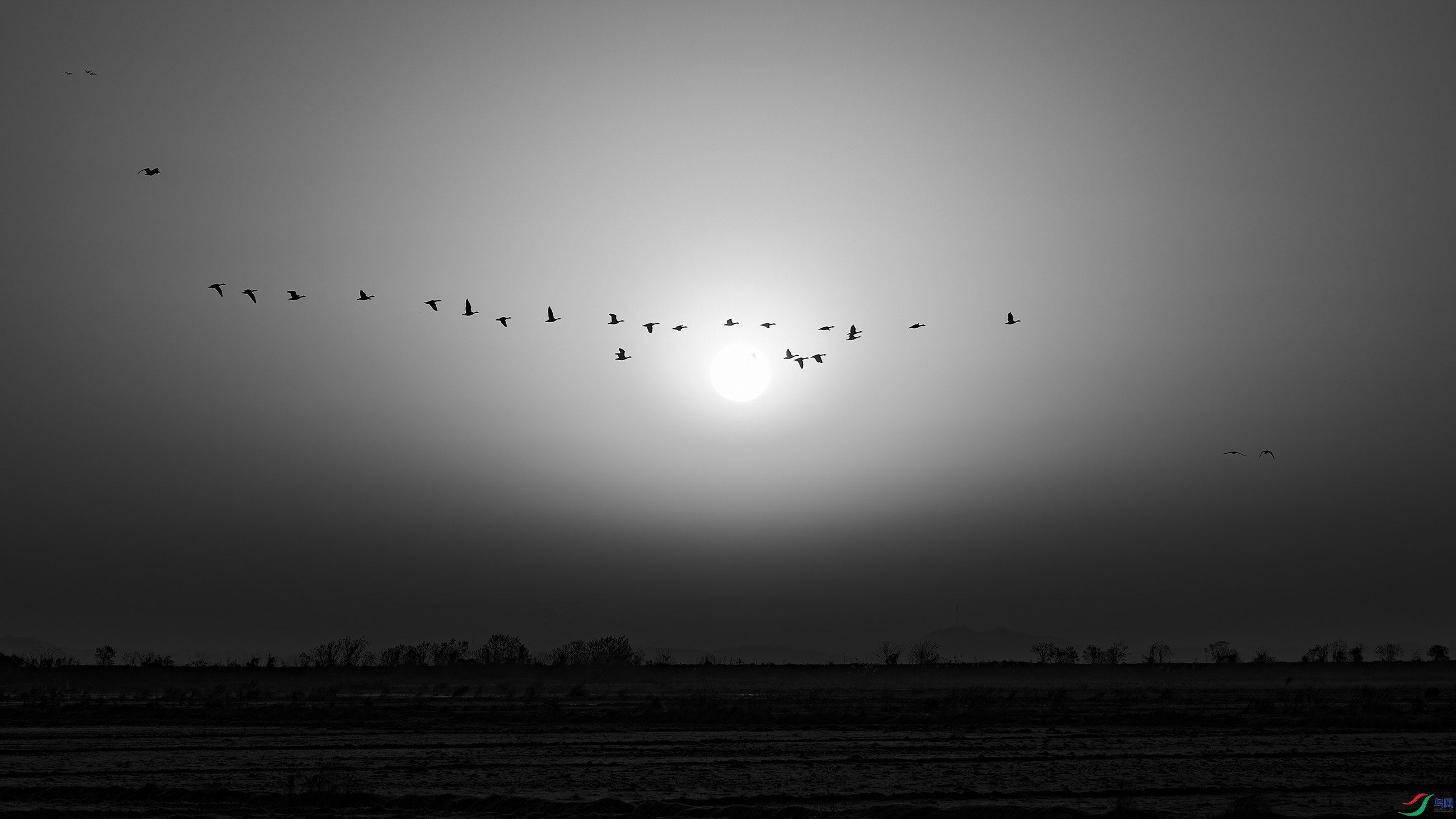 DSC_7113_DxO.jpg