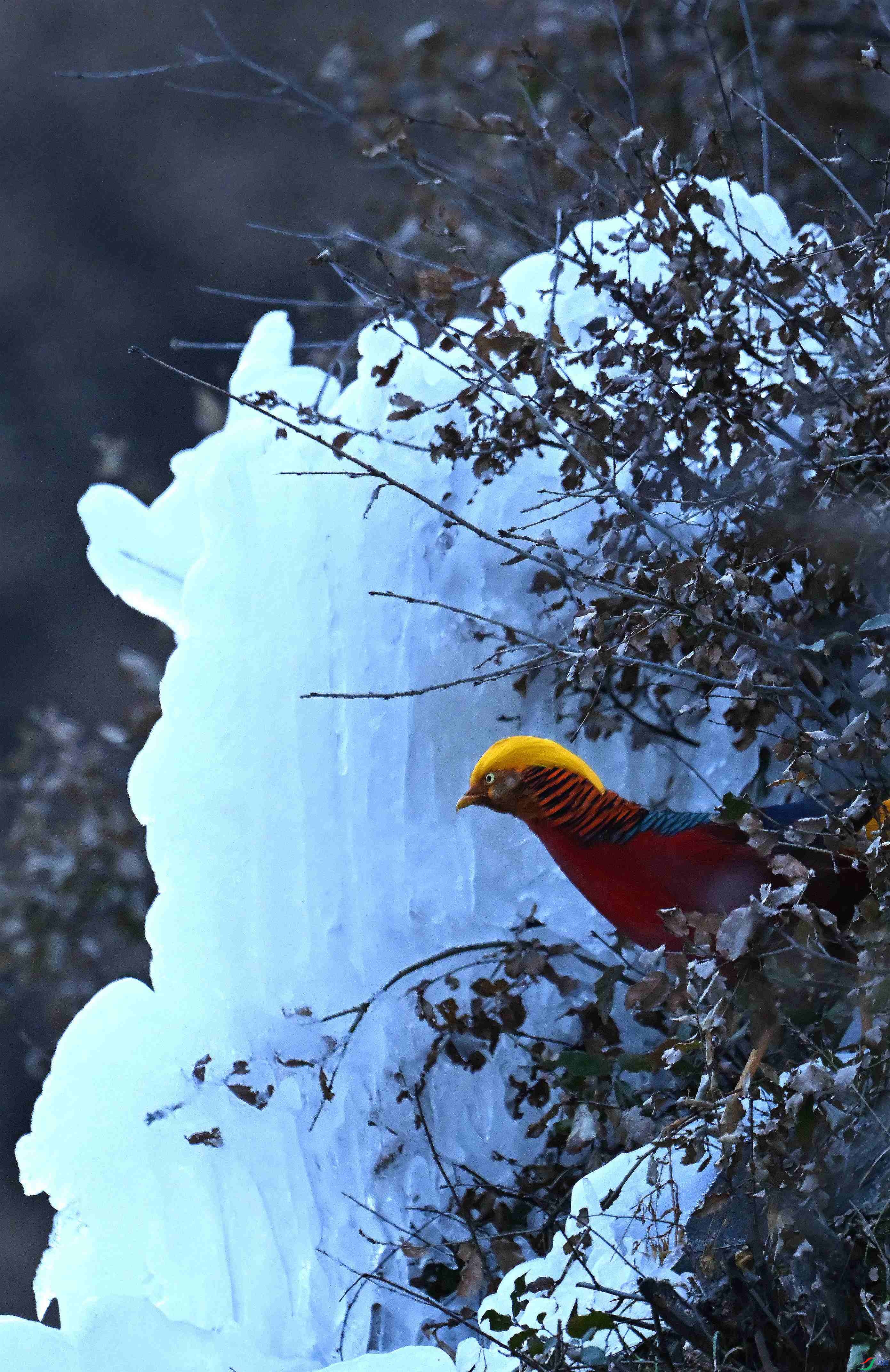 DSC_1814.JPG