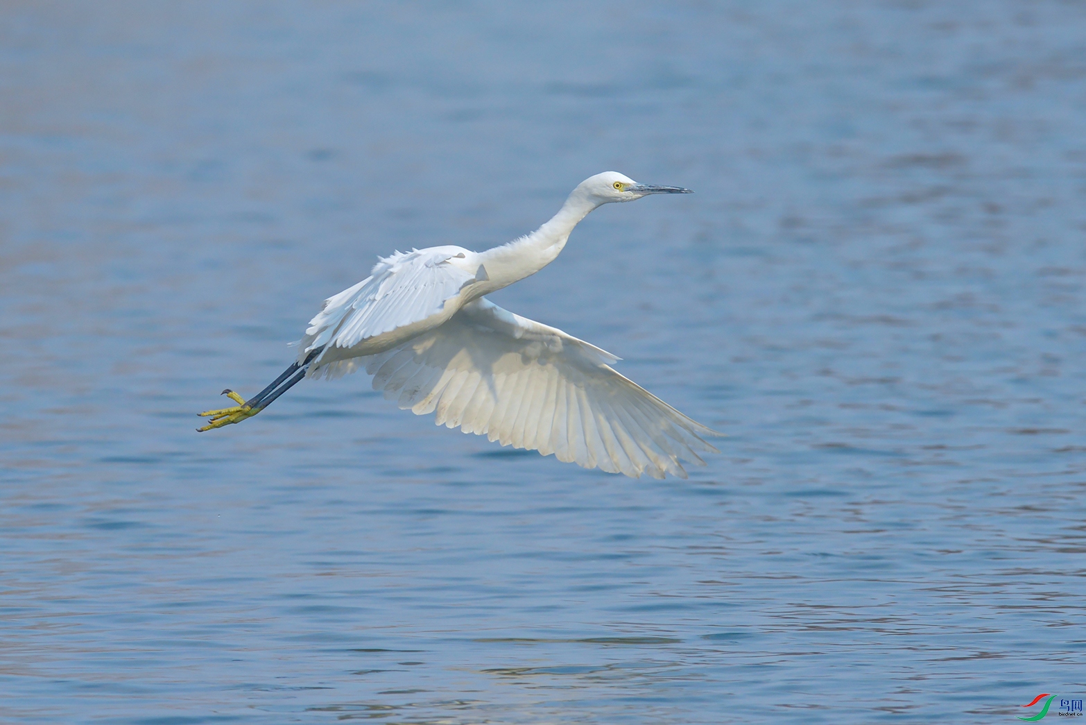 DSC_7804_DxOa.jpg
