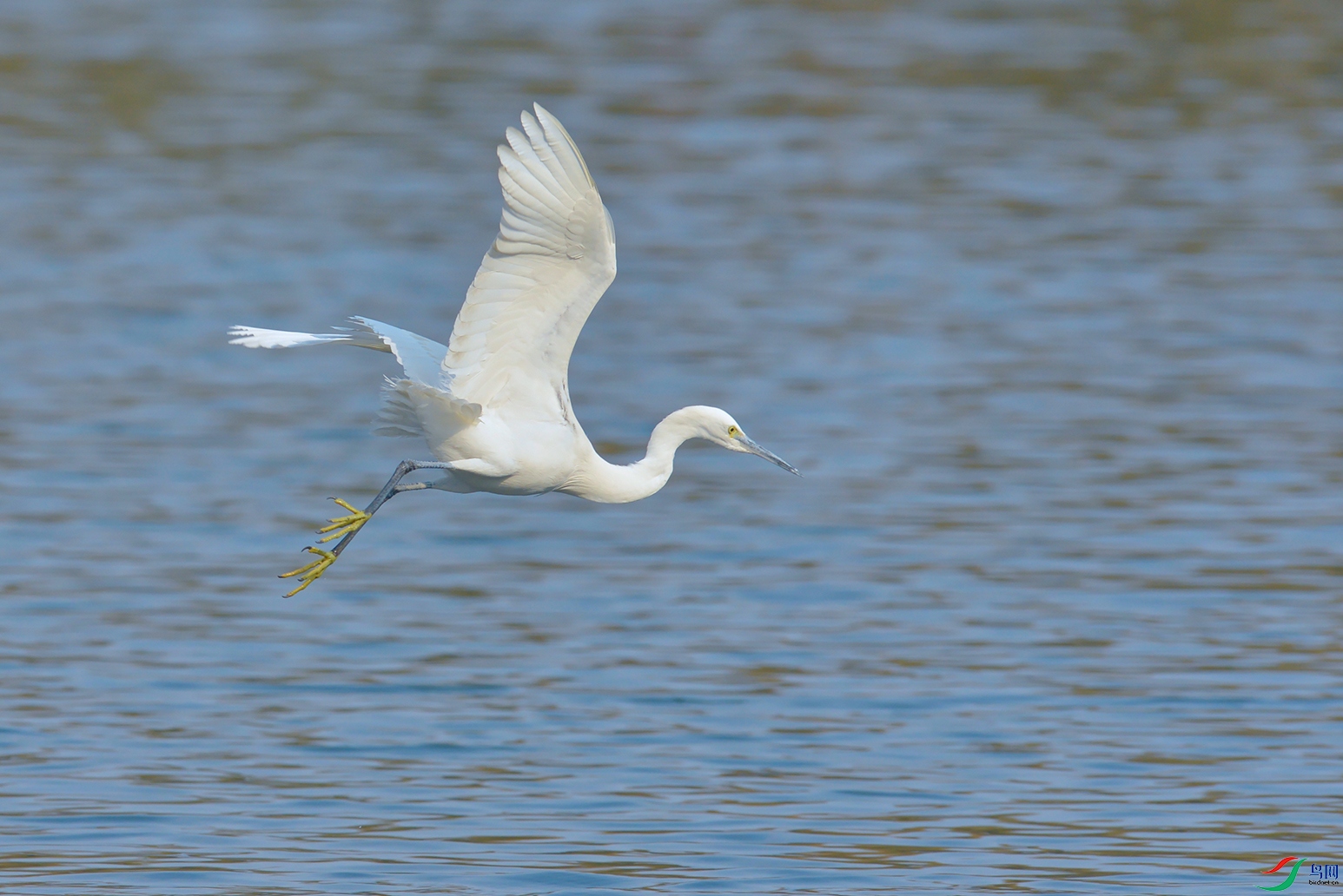 DSC_7705_DxOa.jpg