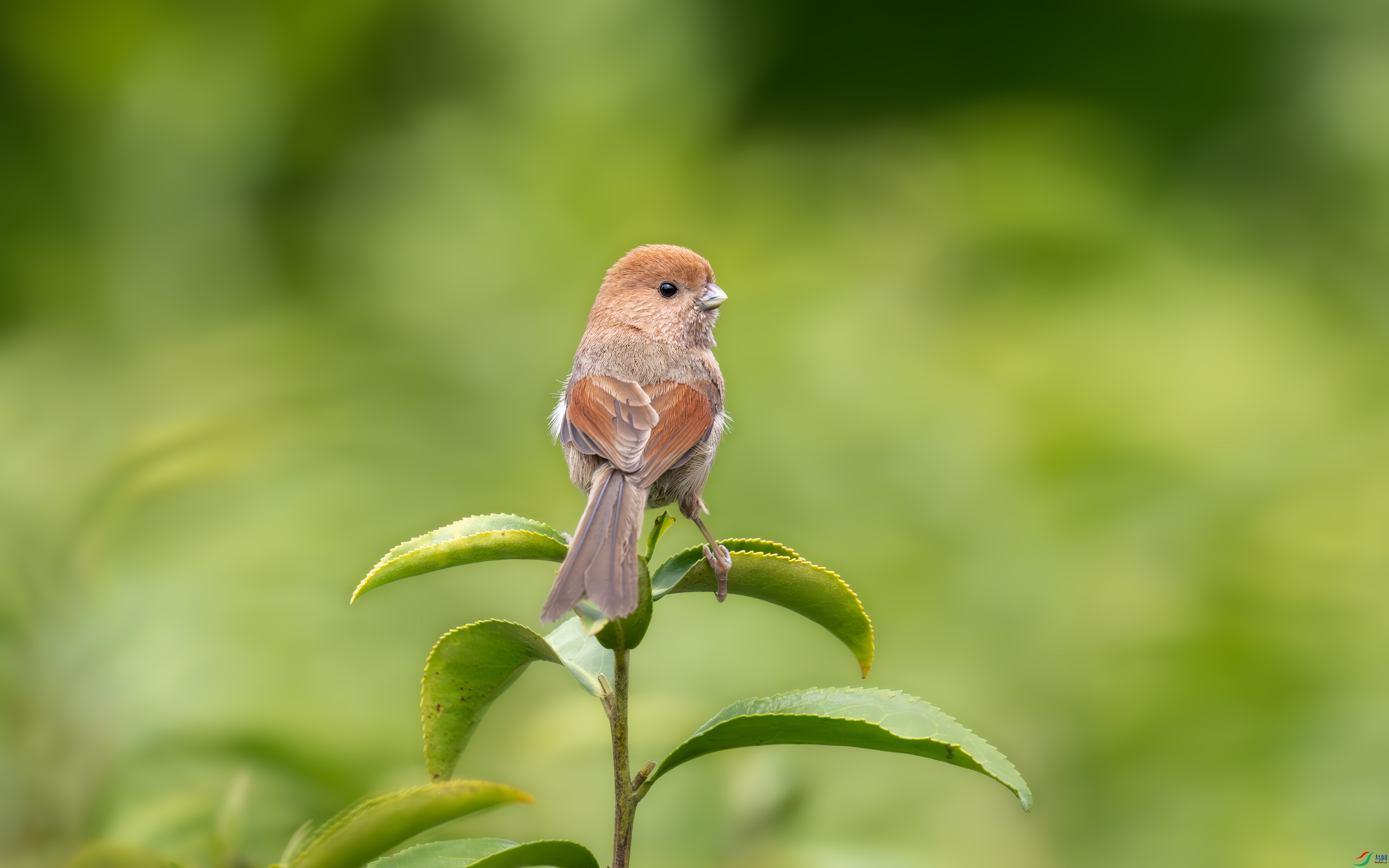 DSC_3143.jpg