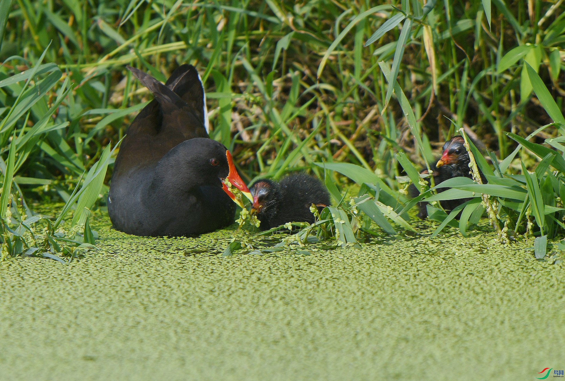 DSC_4758.jpg