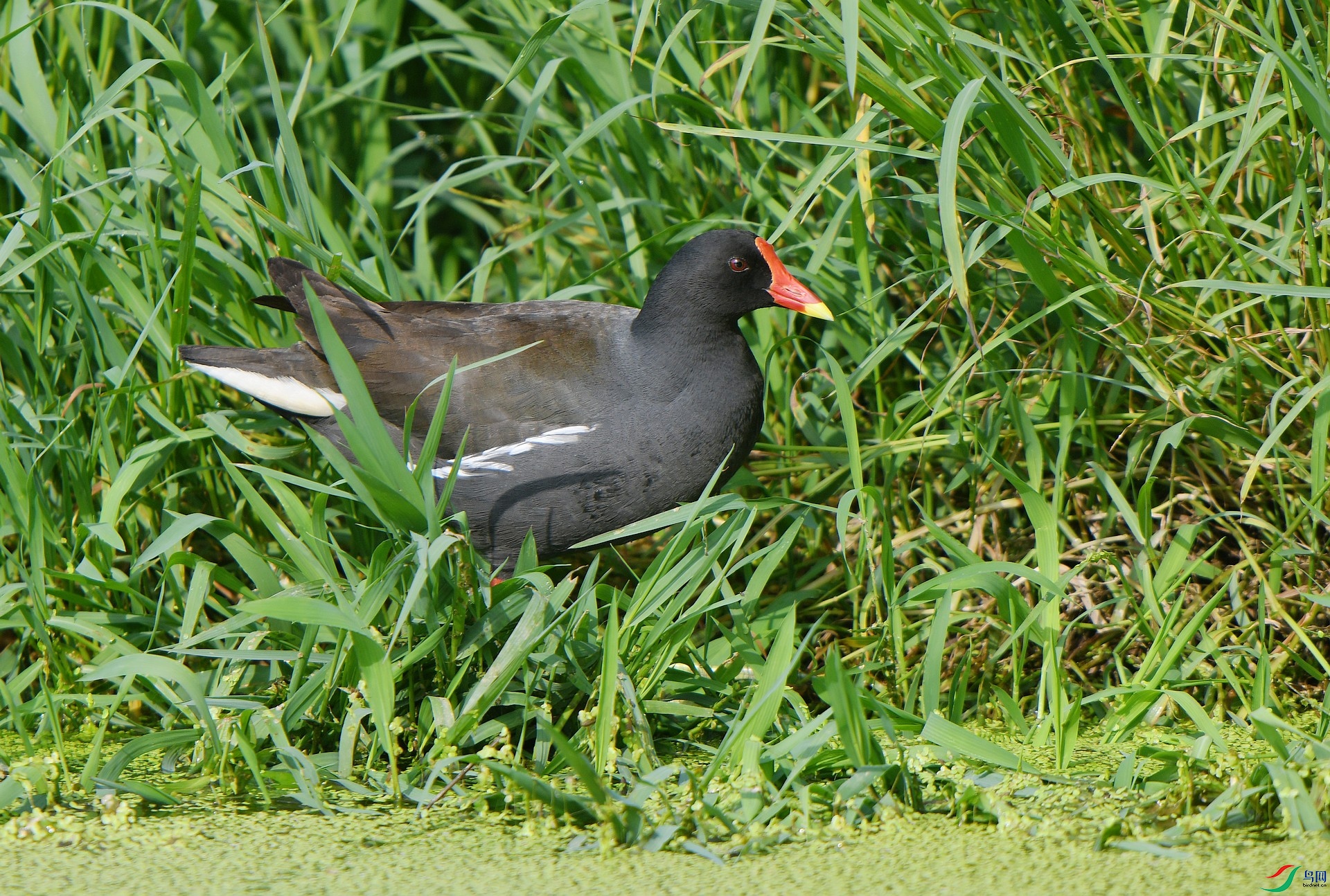 DSC_4717.jpg