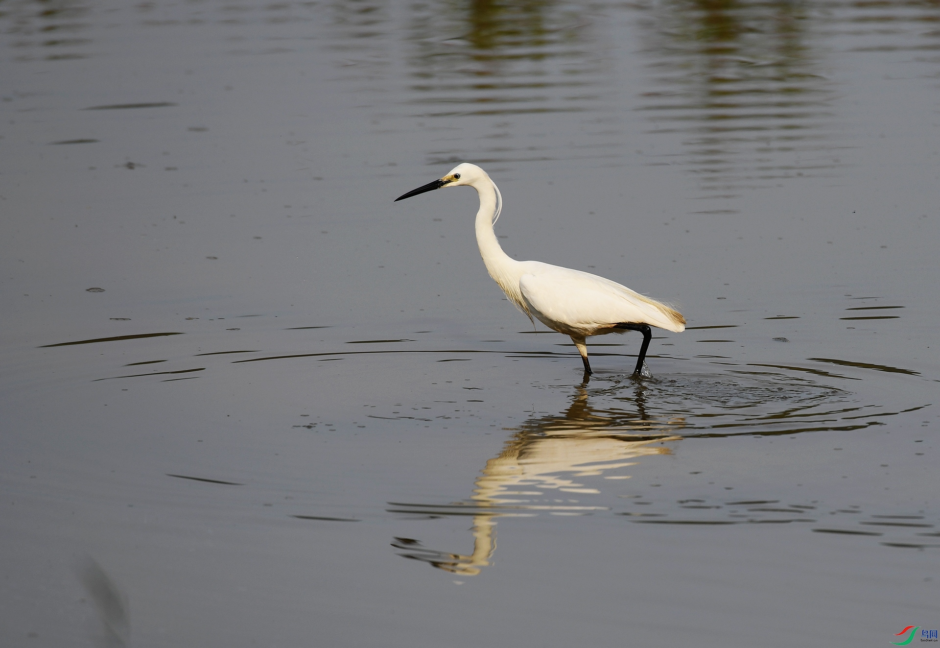 DSC_8234.jpg
