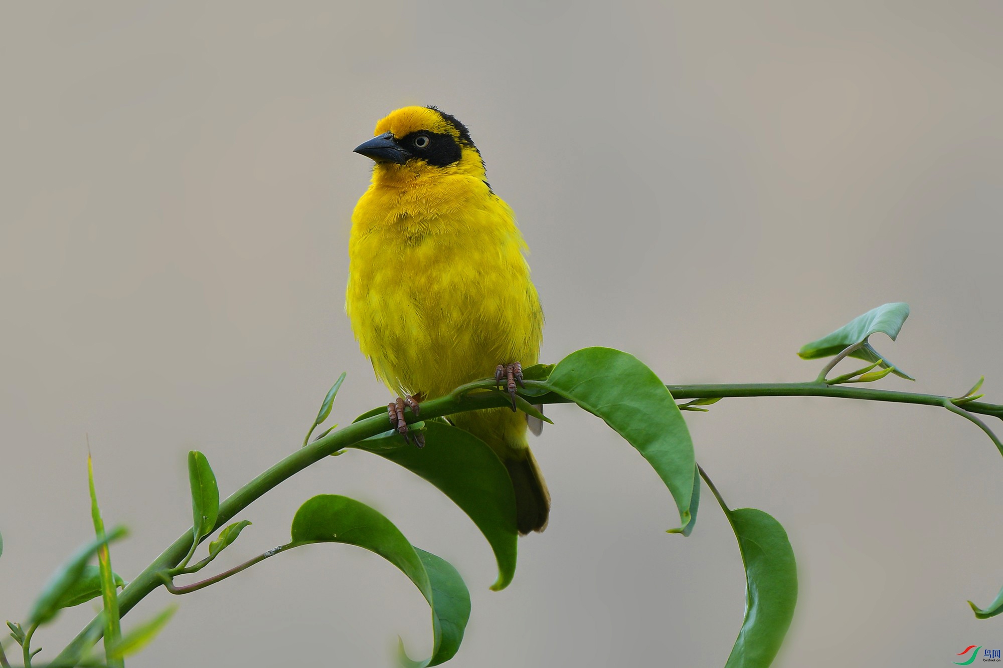 DSC_4254_.jpg