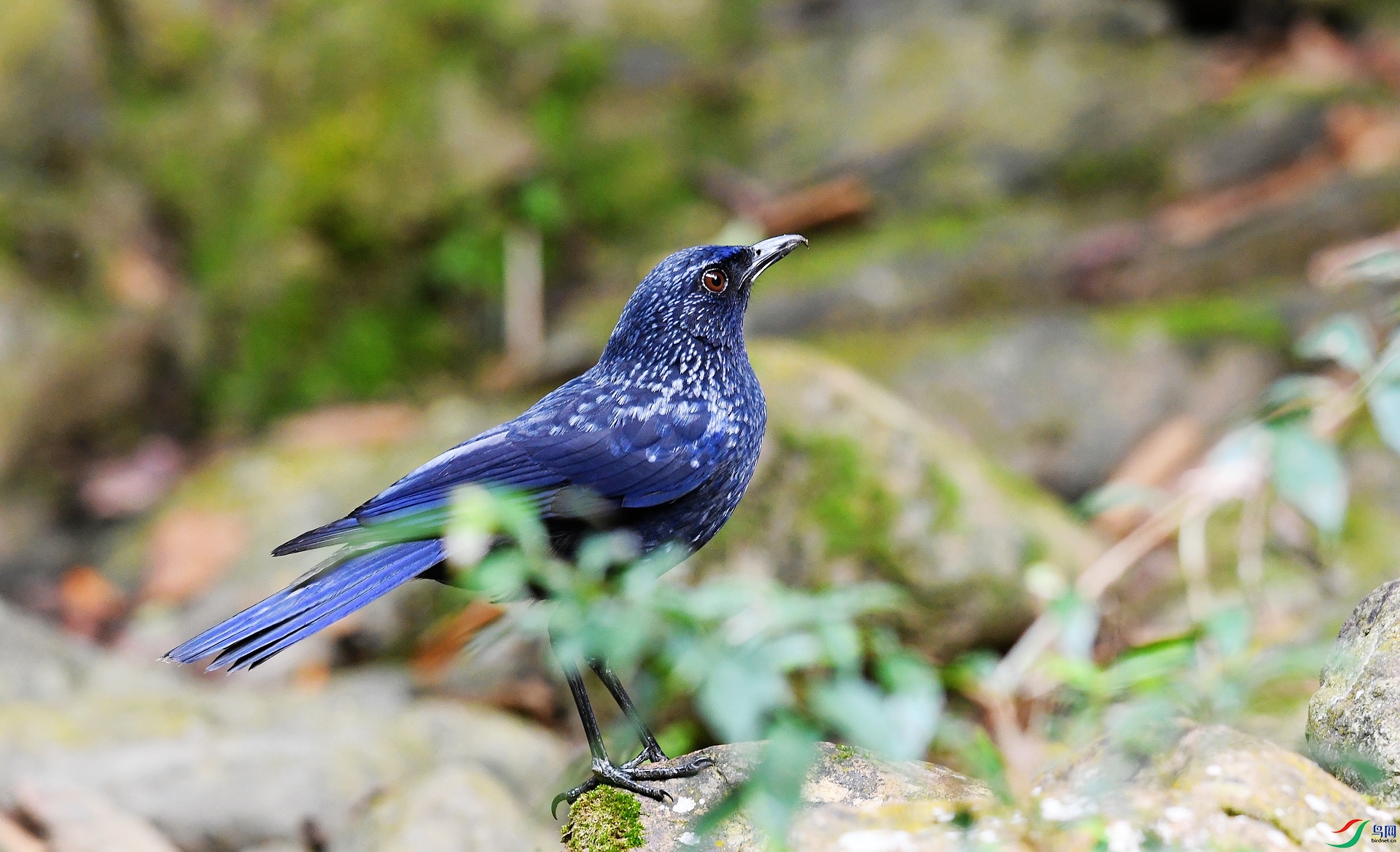 DSC_5804.jpg