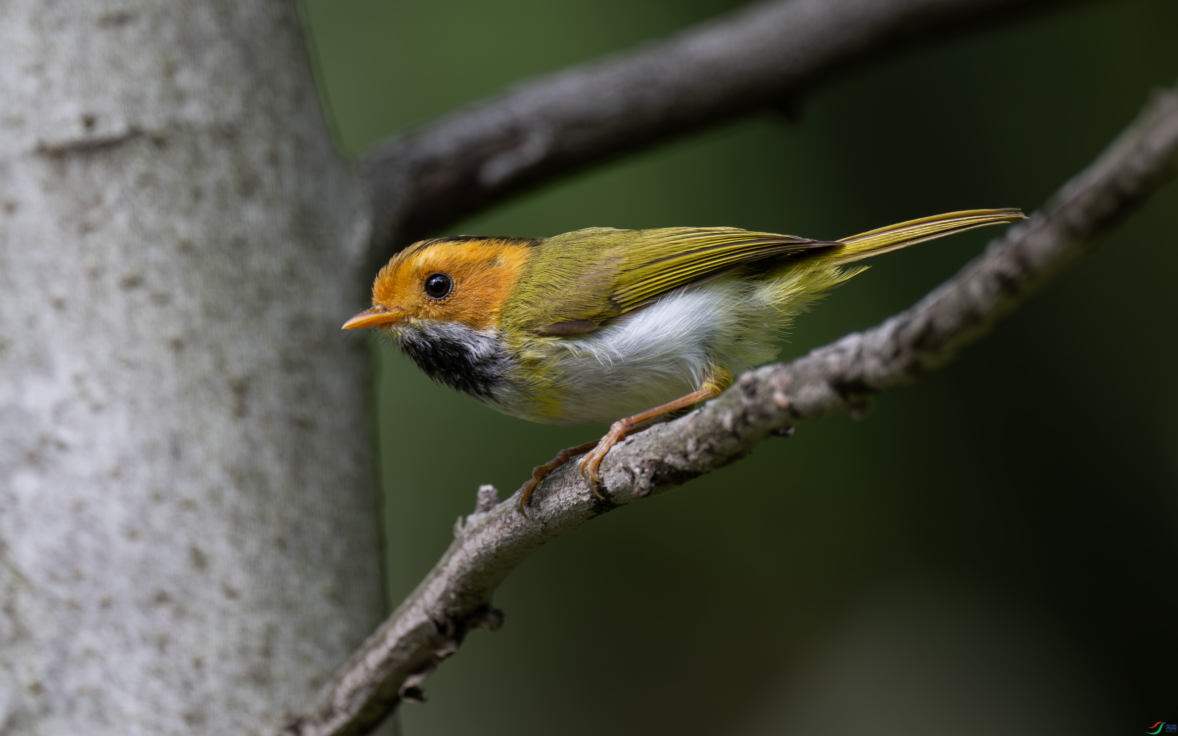 DSC_1102.jpg