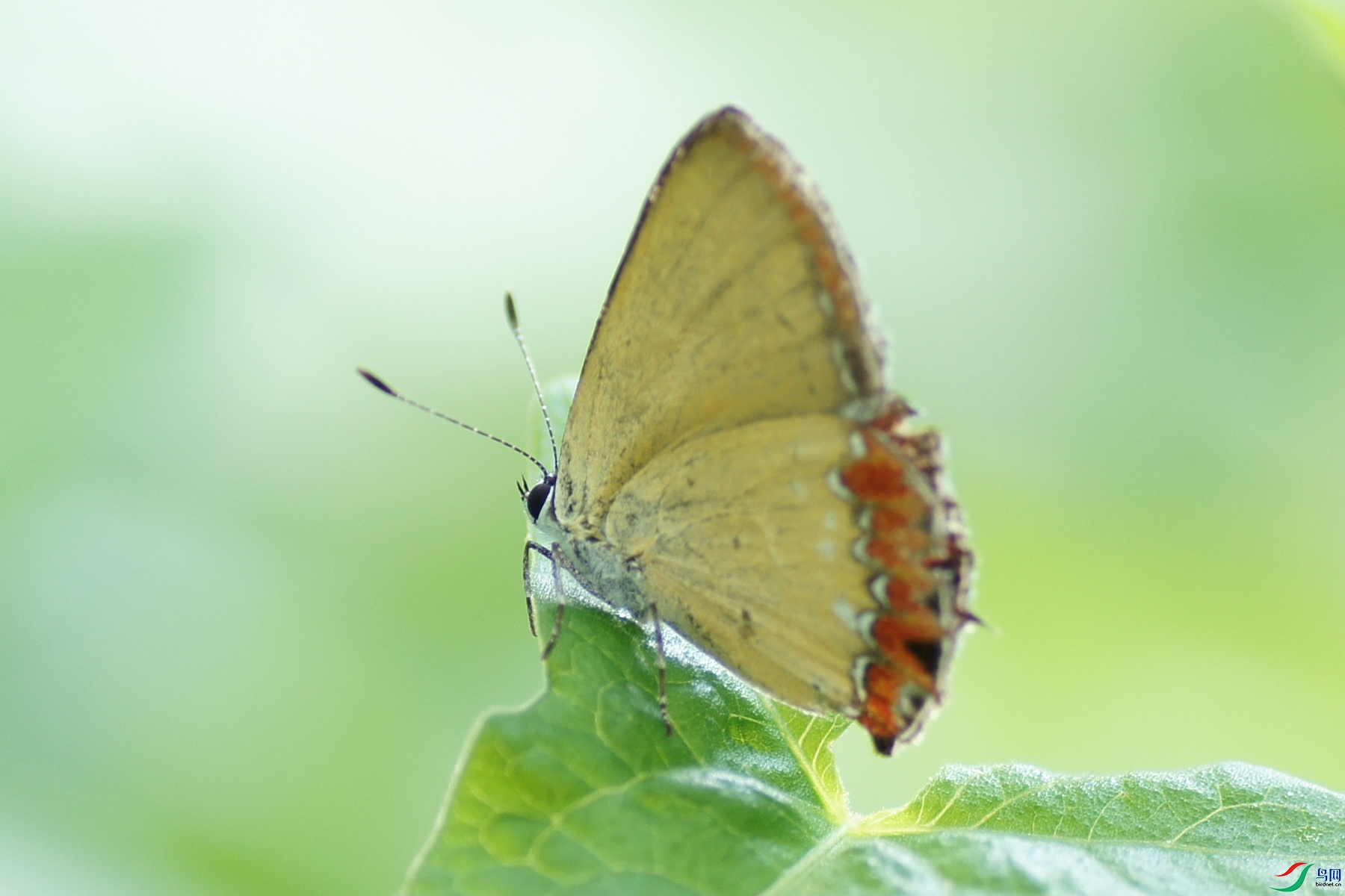 DSC00672.JPG