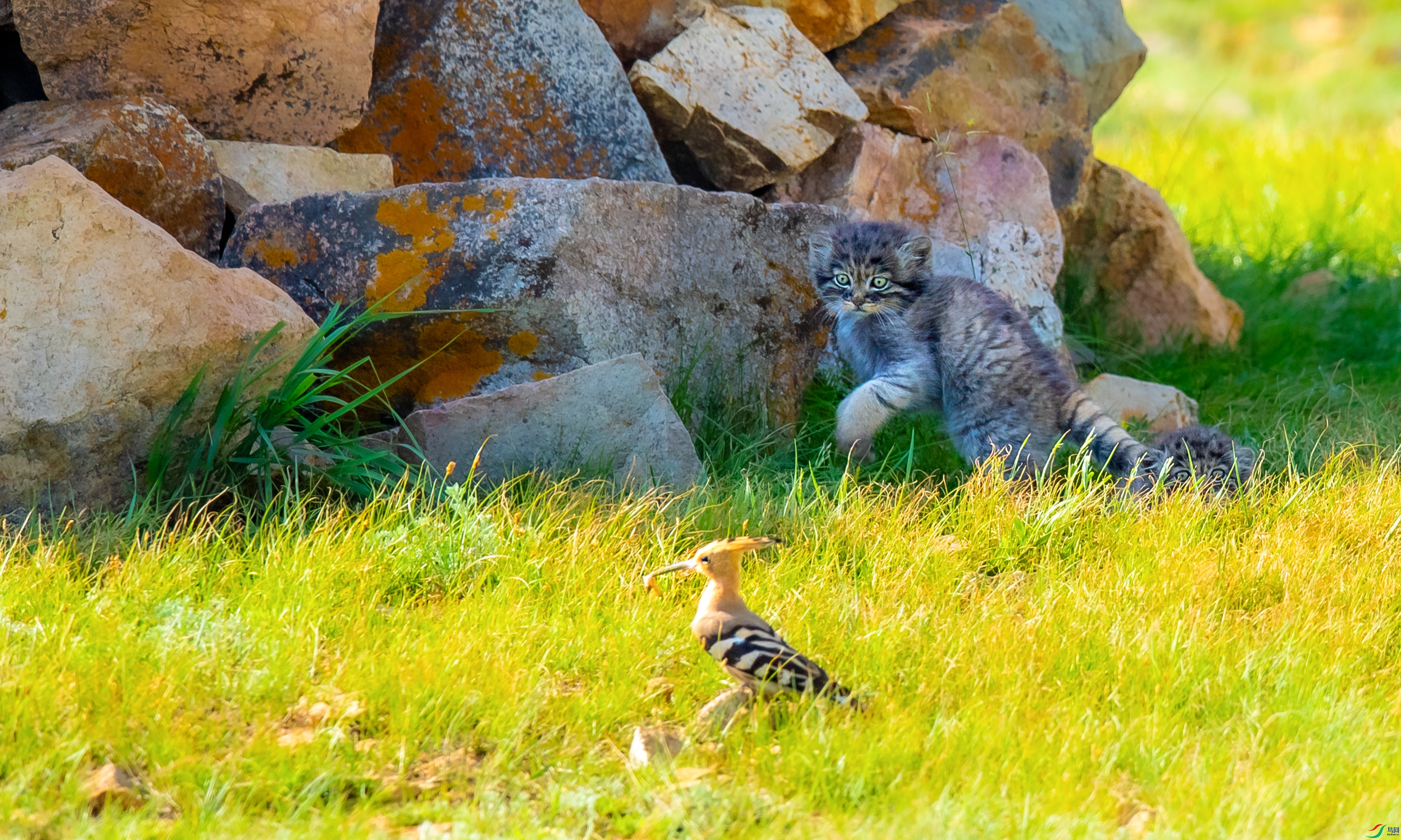DSC_4827.jpg