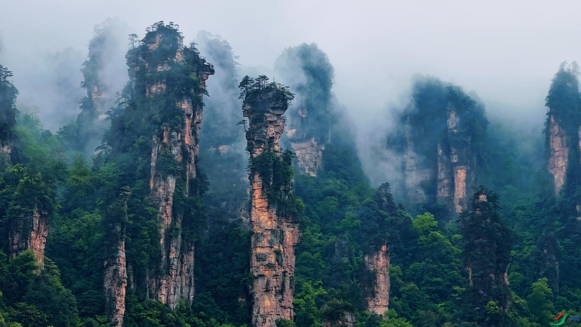 һ���żҽ磬������ɽ��