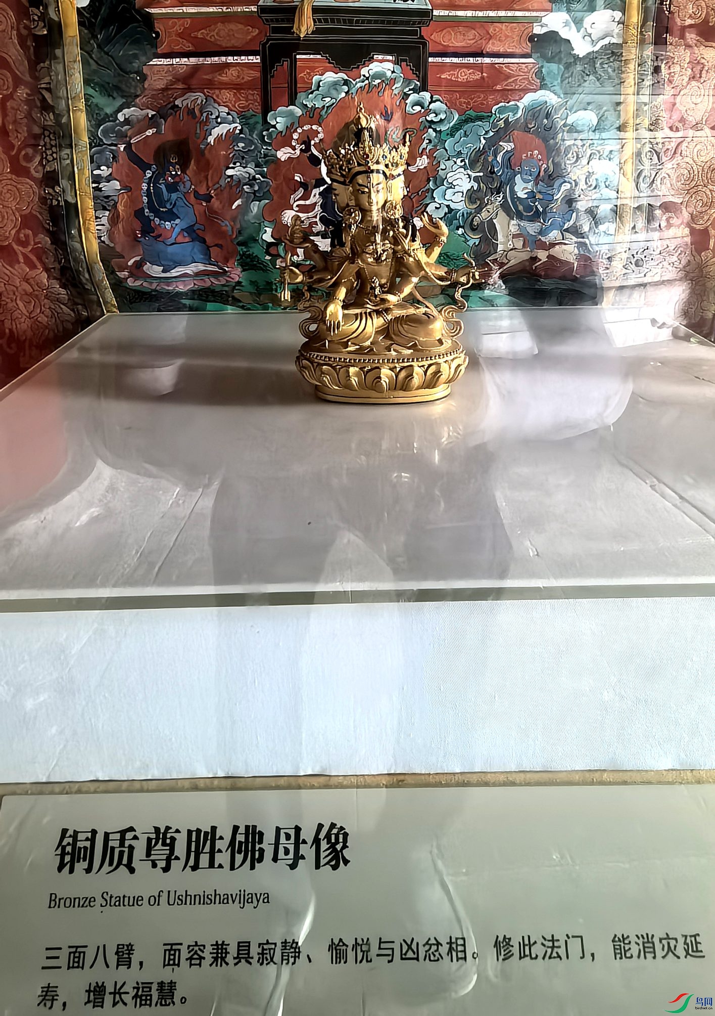 IMG_20240802_102723_����.jpg