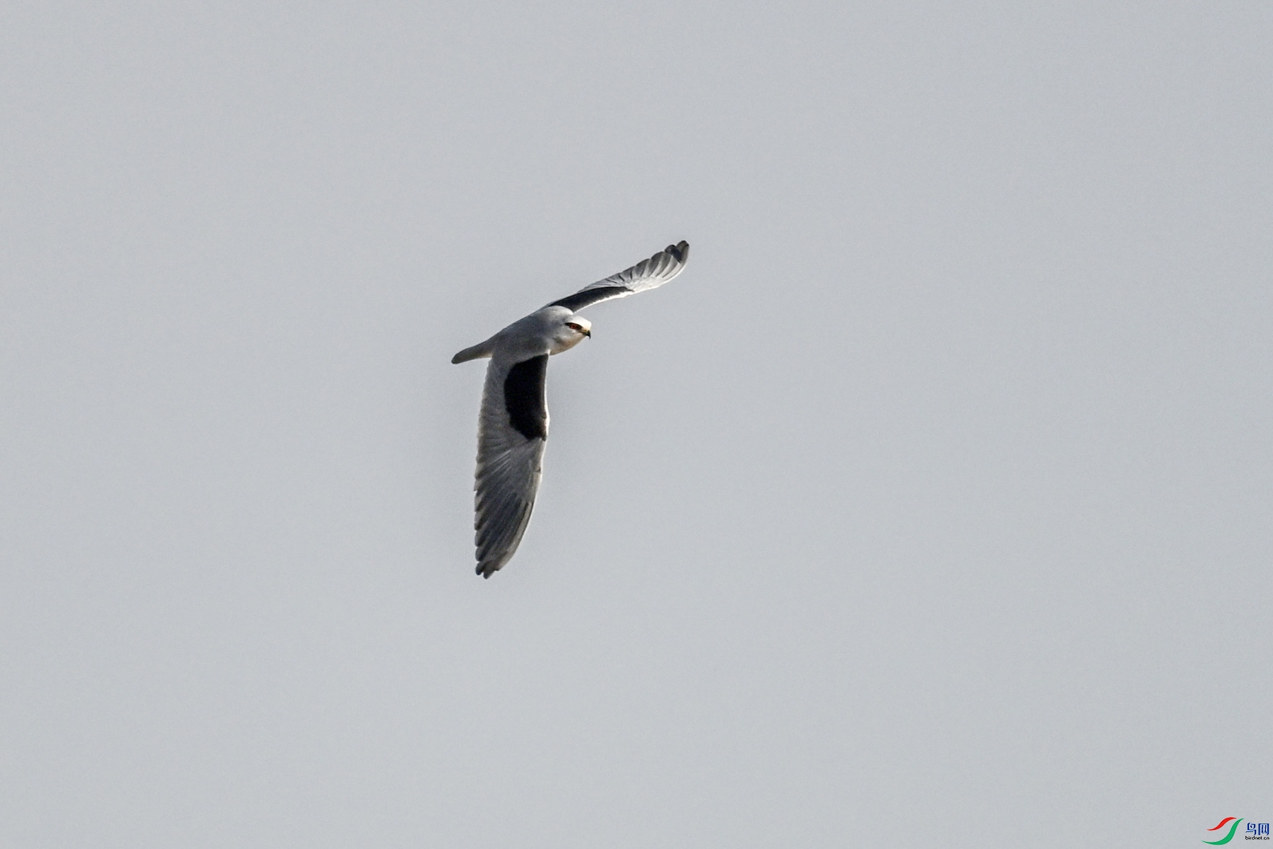 DSC_8236.JPG