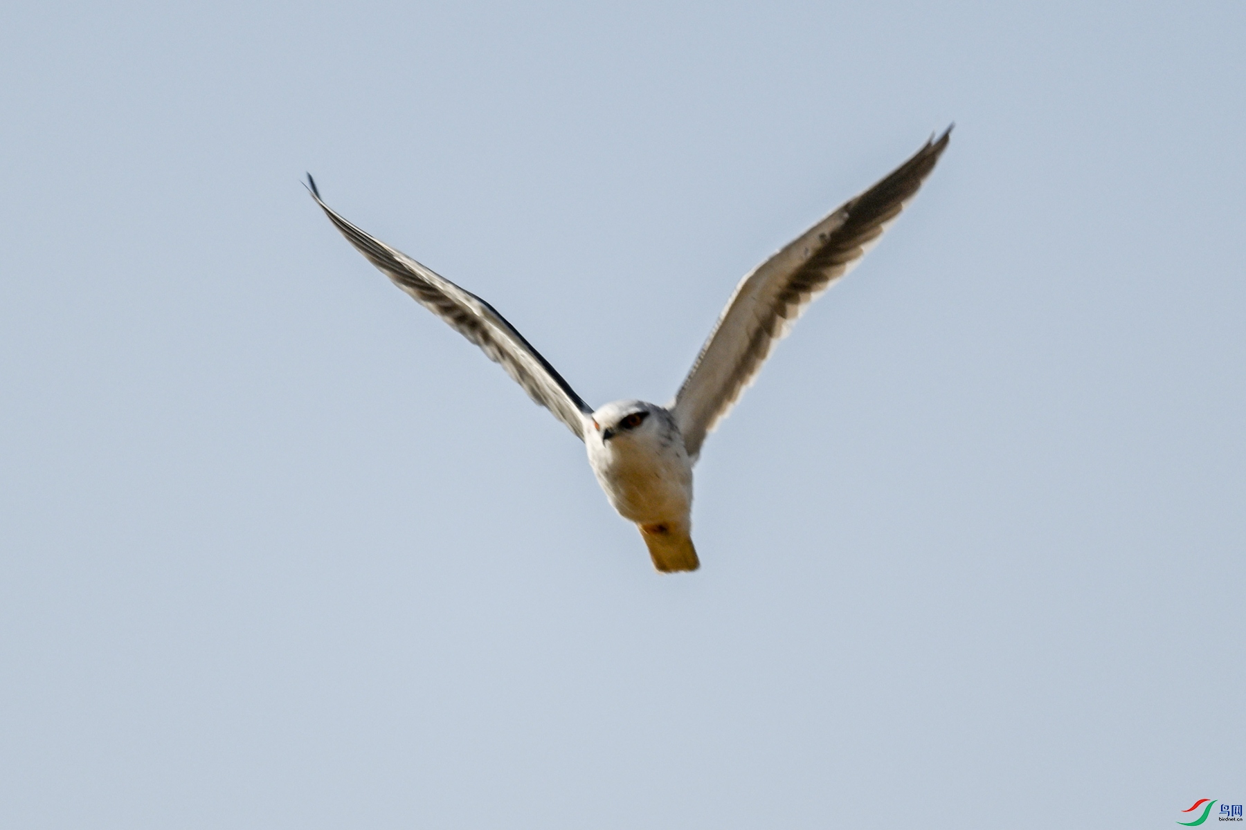 DSC_8209.JPG