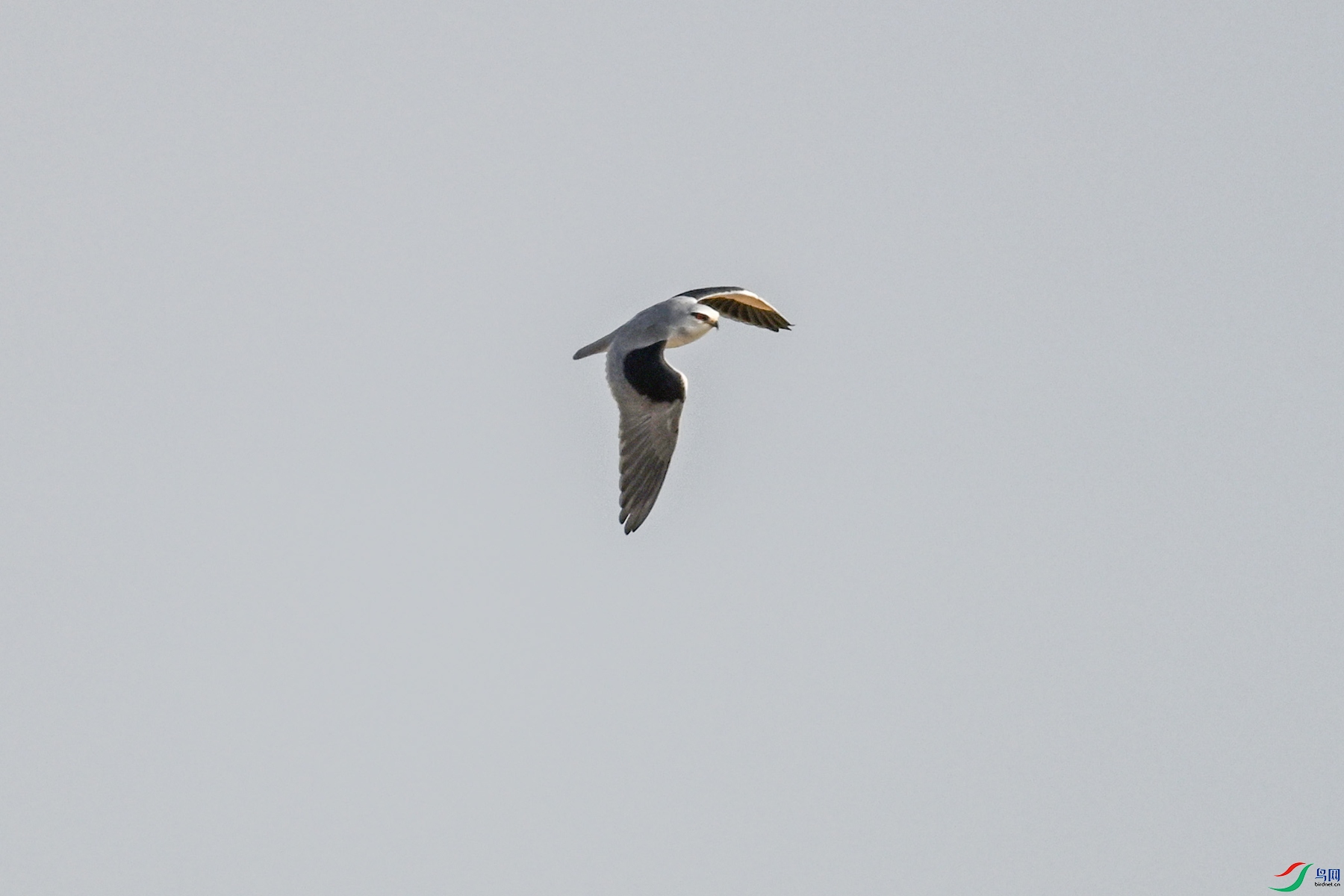 DSC_8237.JPG