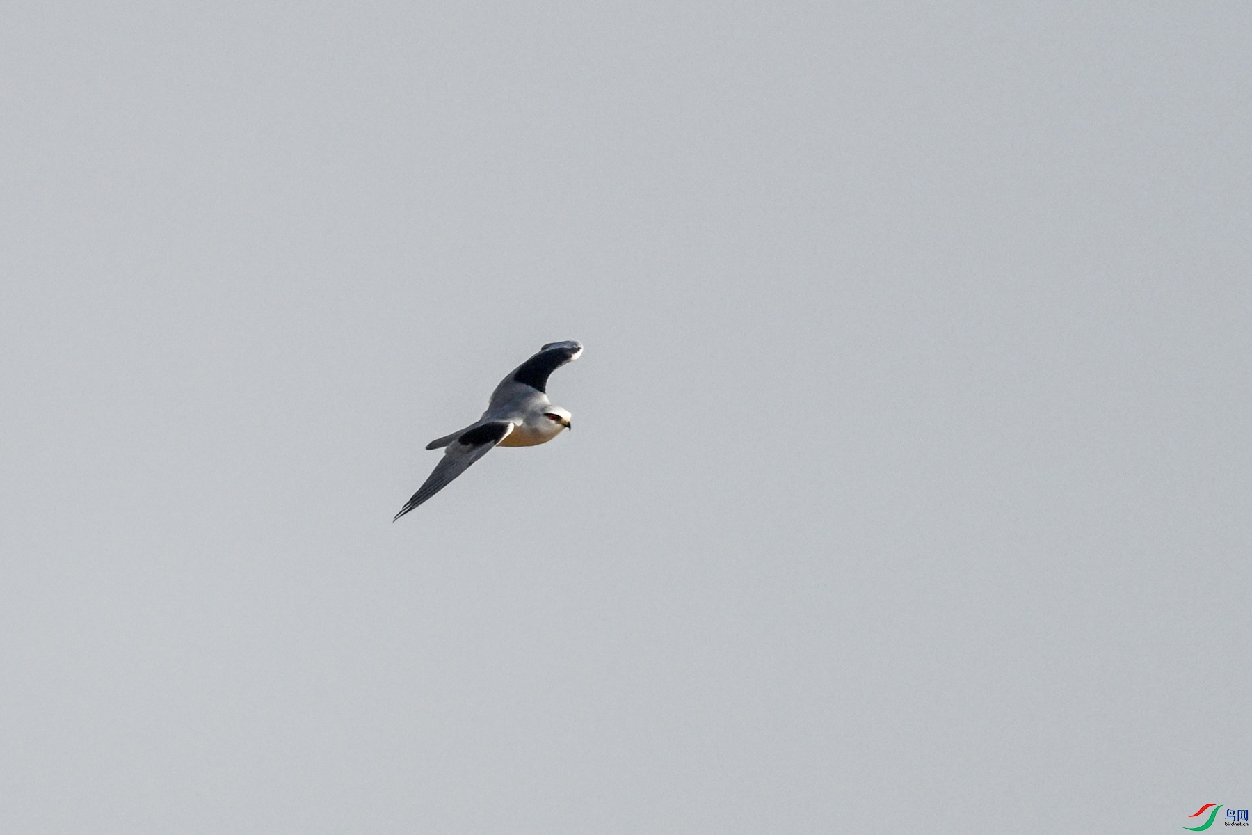 DSC_8238.JPG