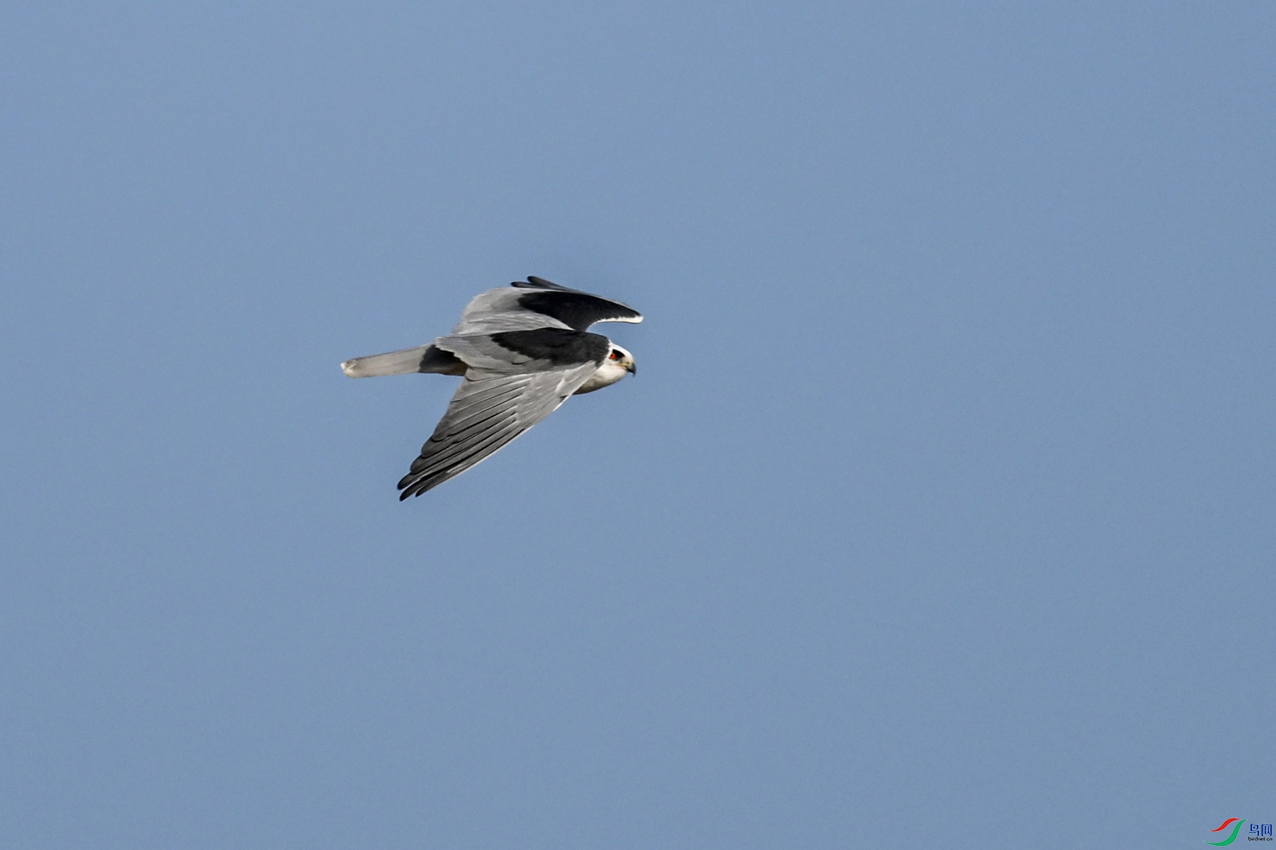 DSC_8244.JPG