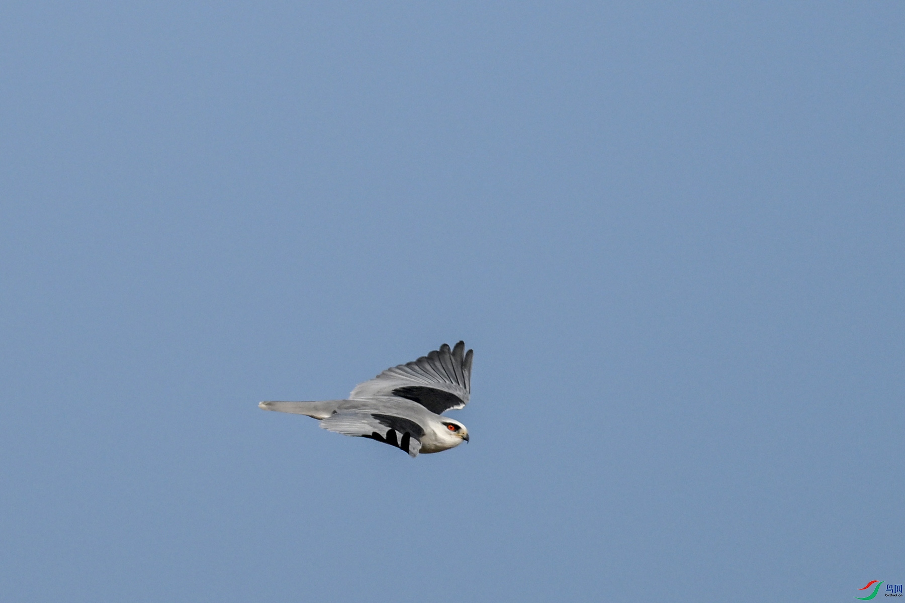 DSC_8248.JPG