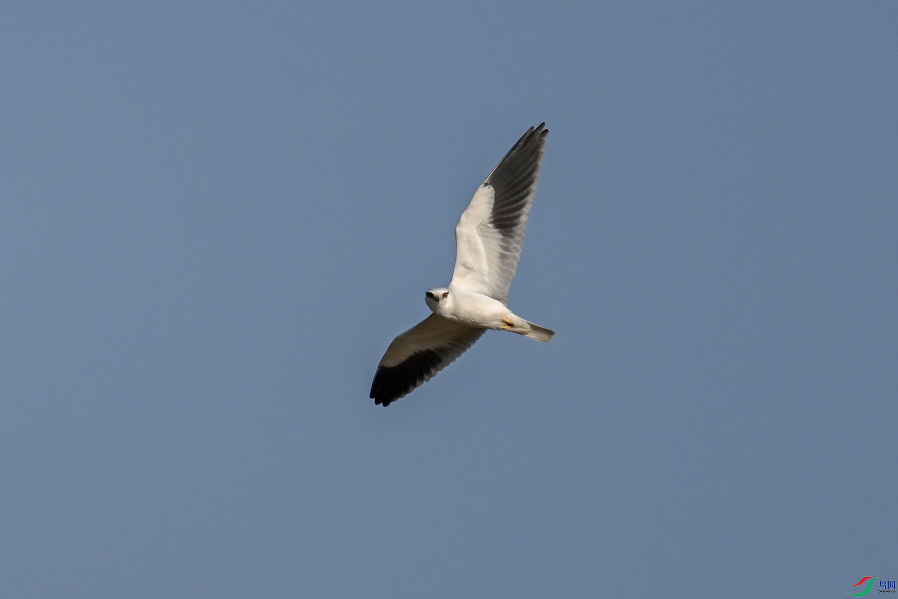 DSC_8250.JPG