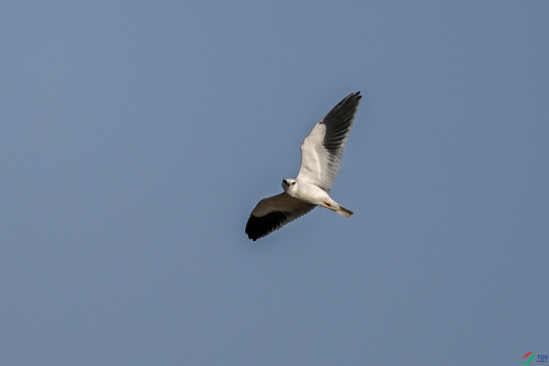 DSC_8252.JPG