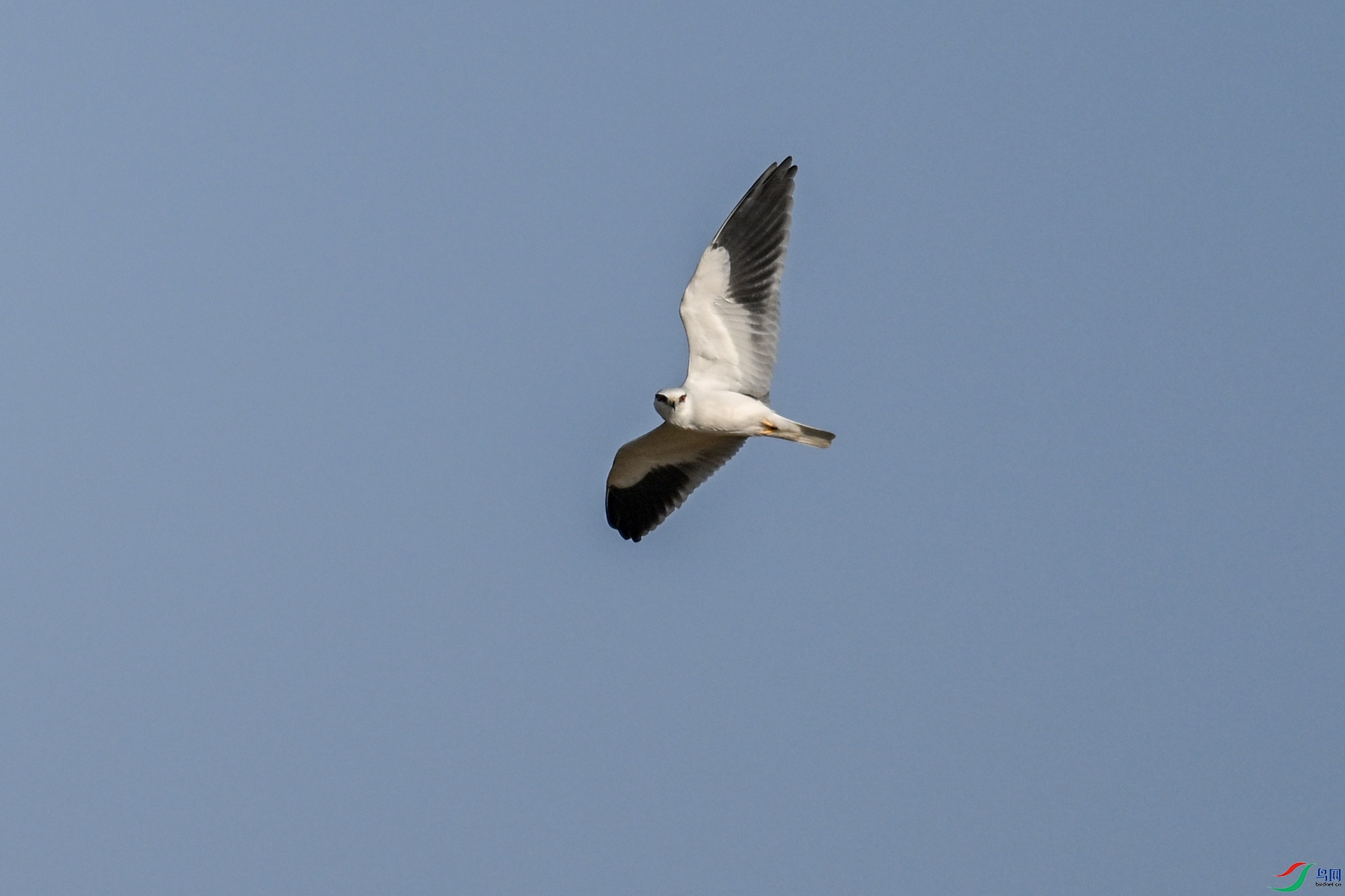 DSC_8253.JPG