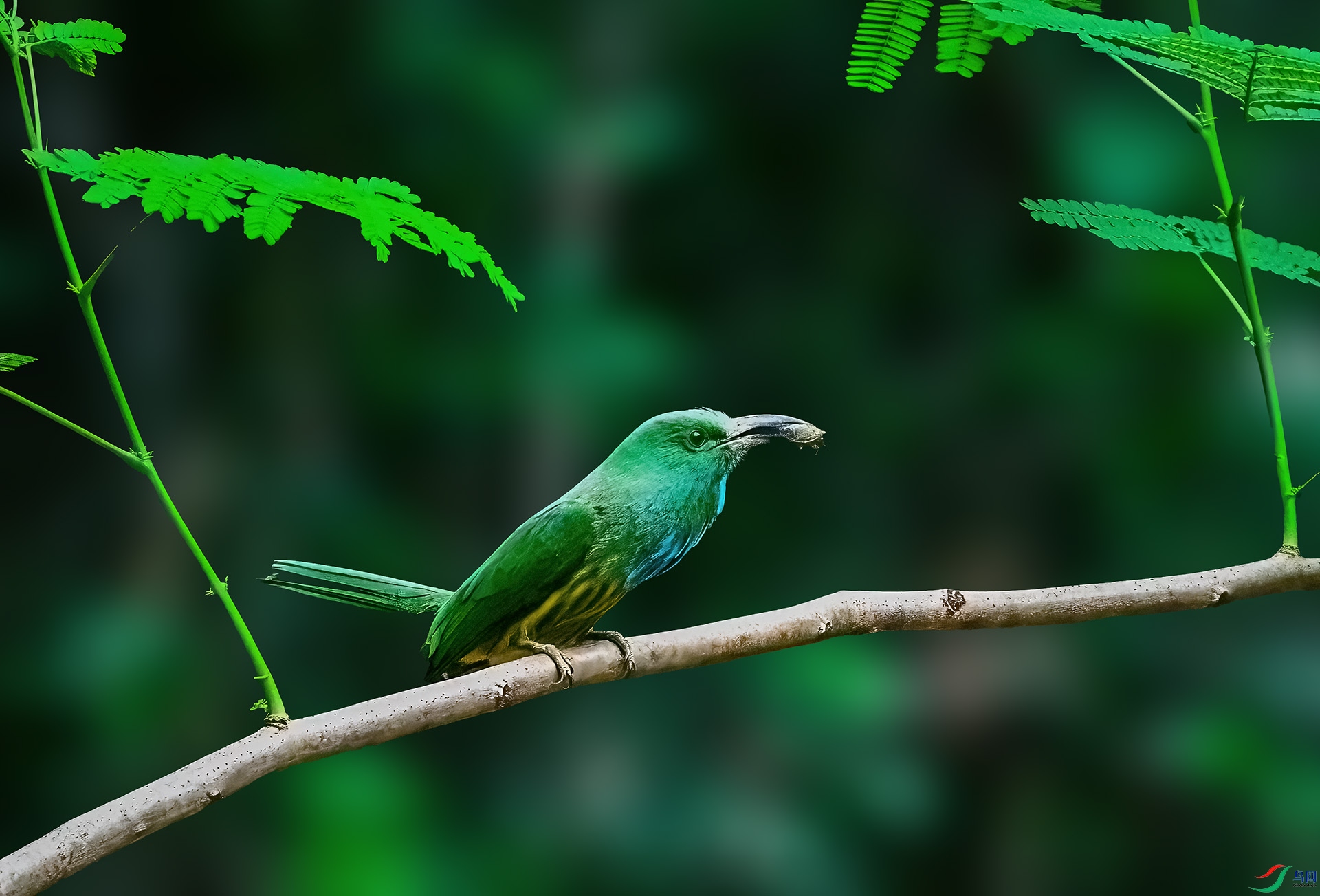 DSC_8378.jpg111.jpg