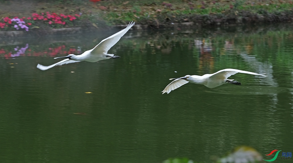 DSCF2114.1.jpg