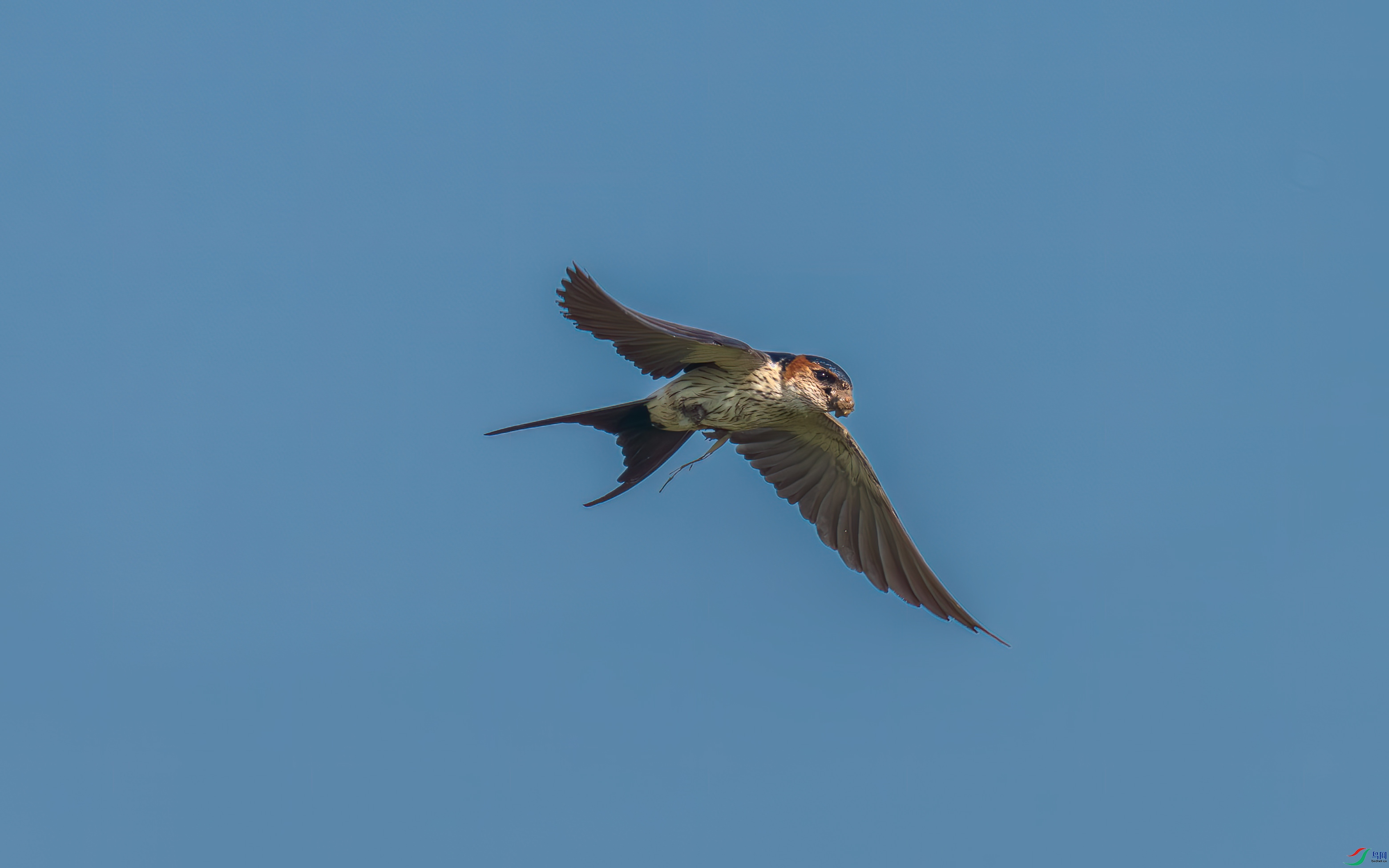 DSC_8259.jpg