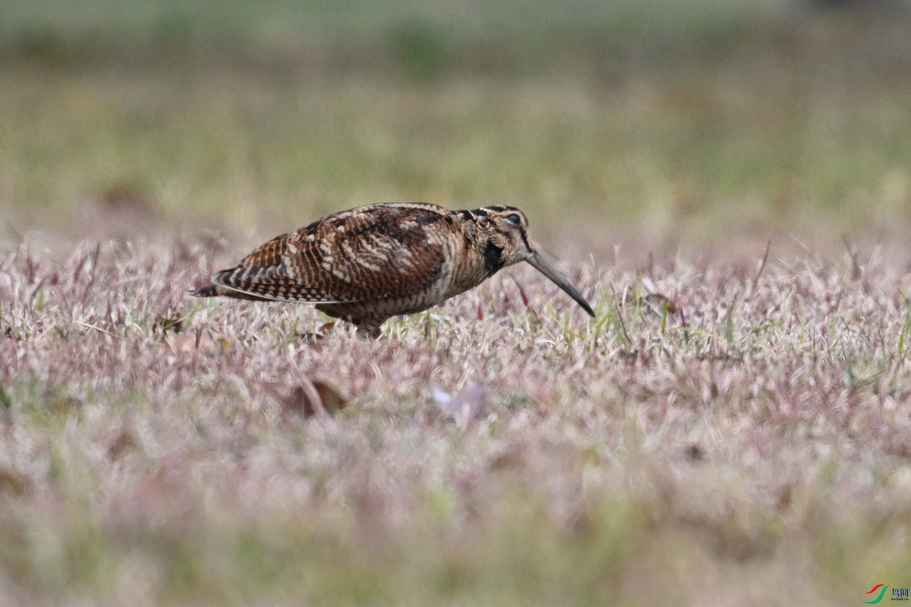 DSC_8327.JPG