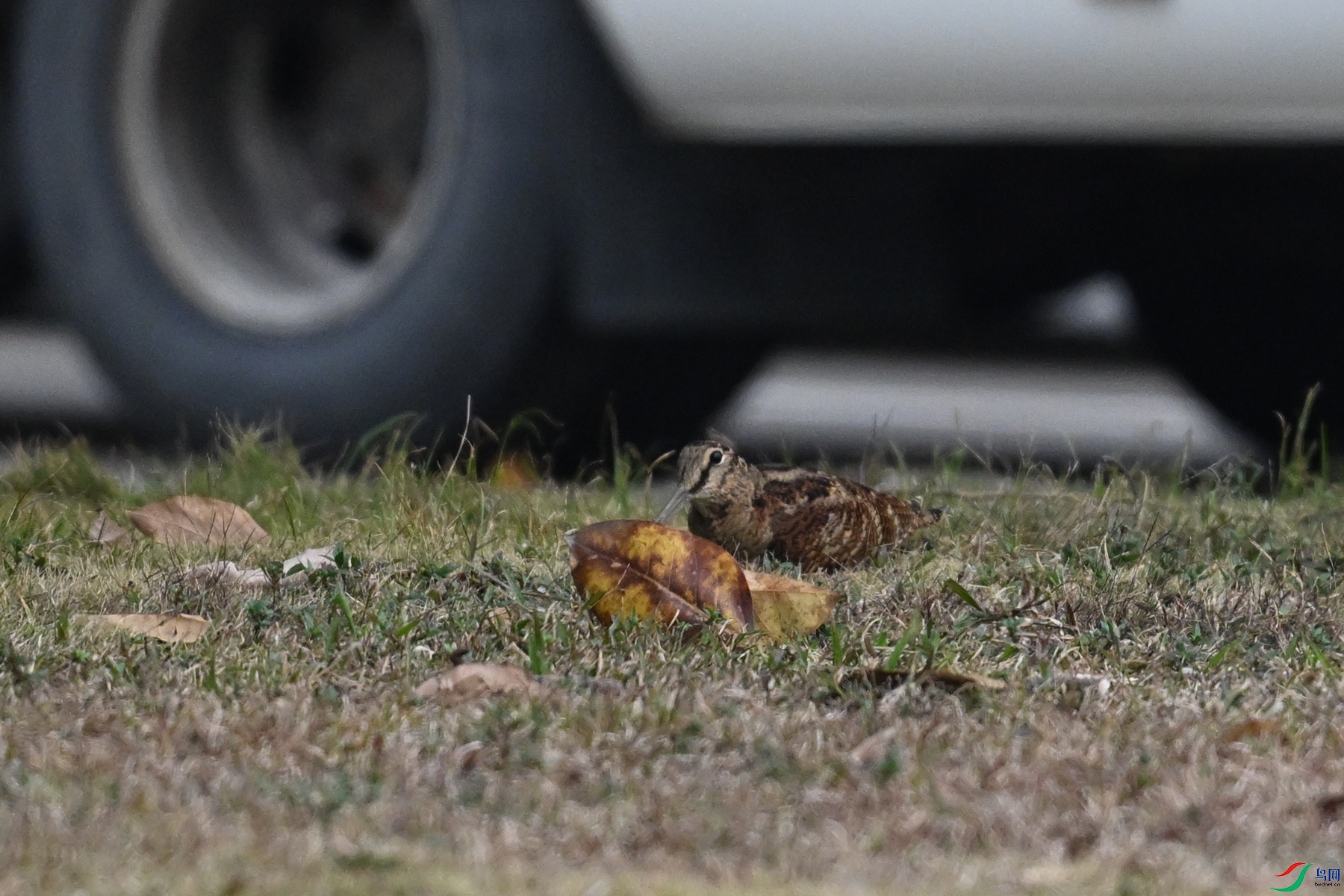 DSC_8280.JPG