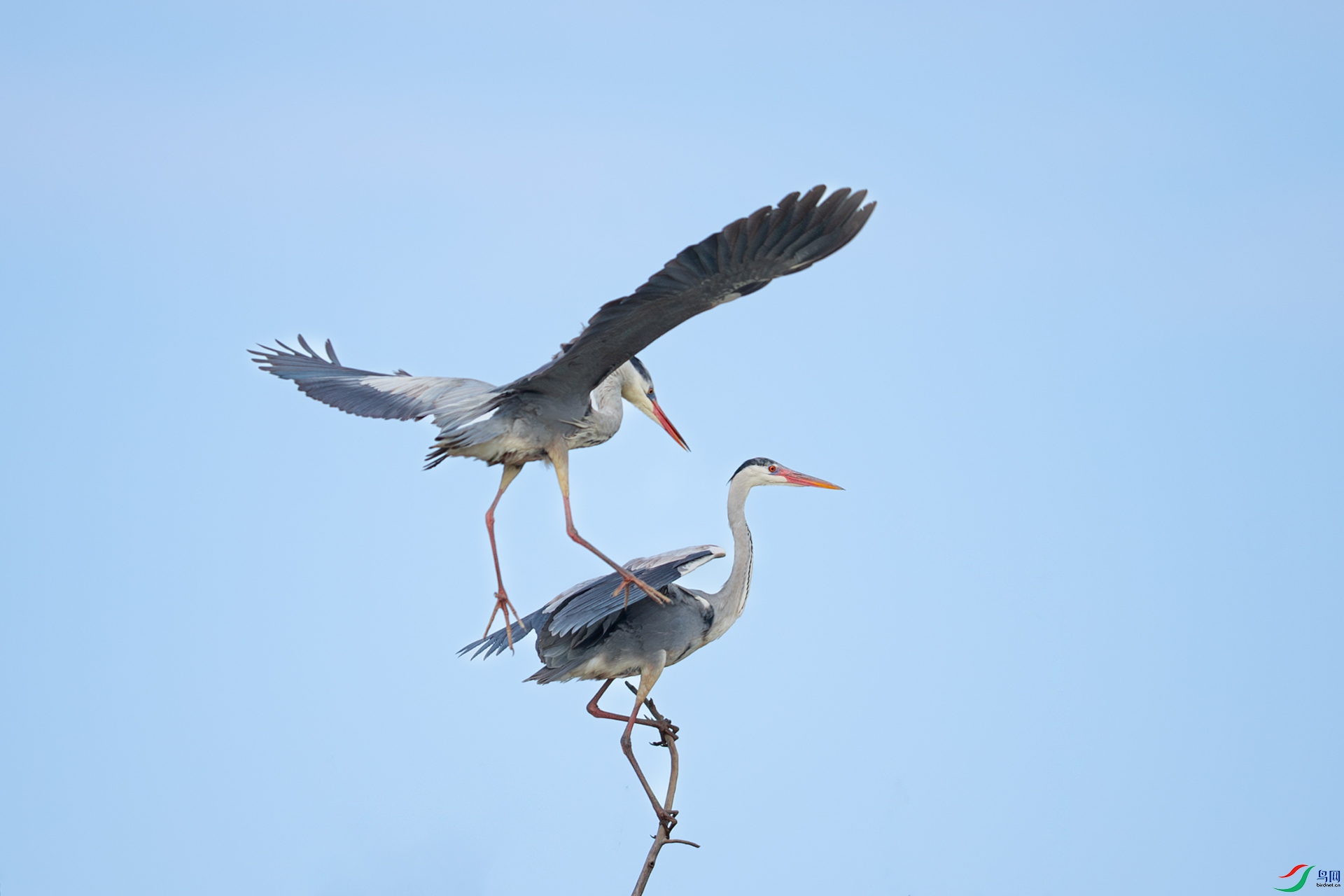 DSC_3415.jpg