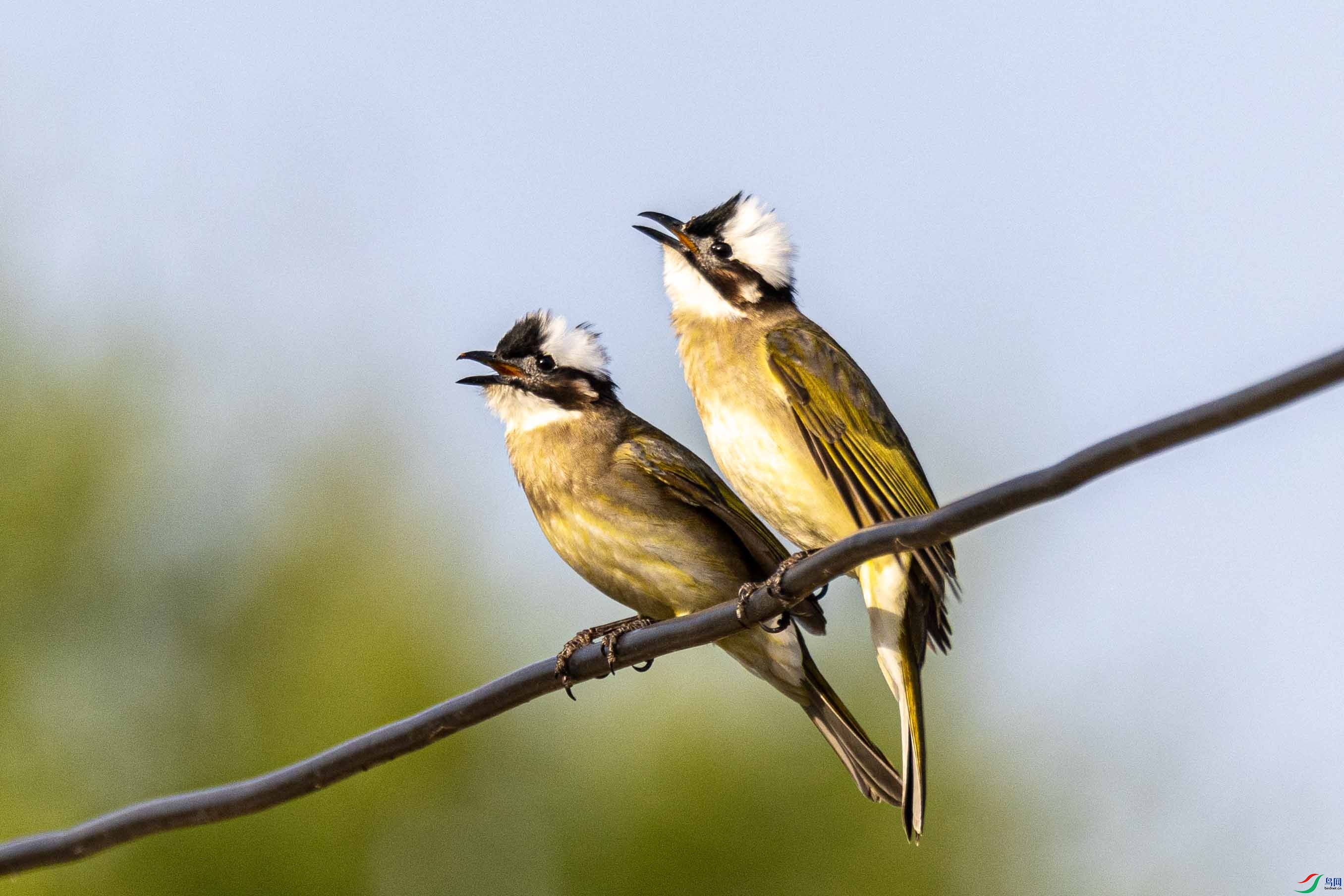 _07A3971 ����.jpg