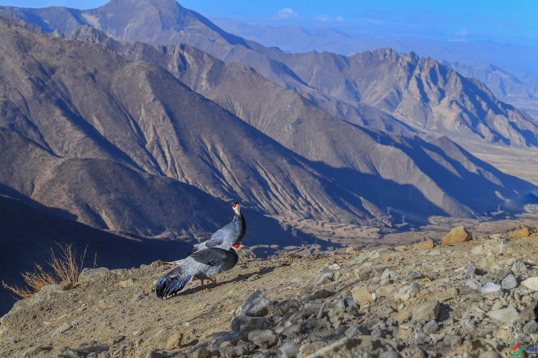DSC_0898_����.jpg