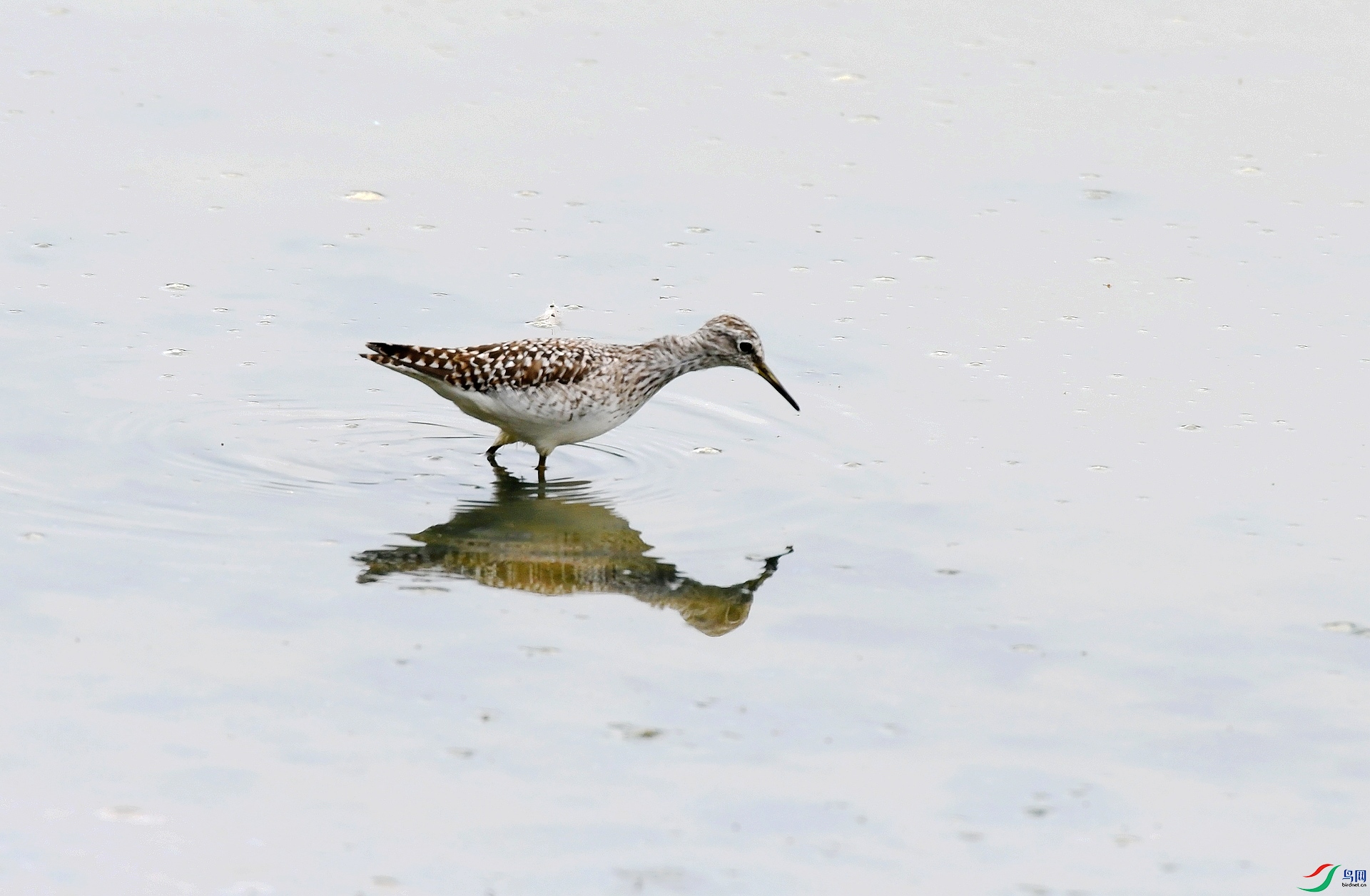 DSC_6665.jpg