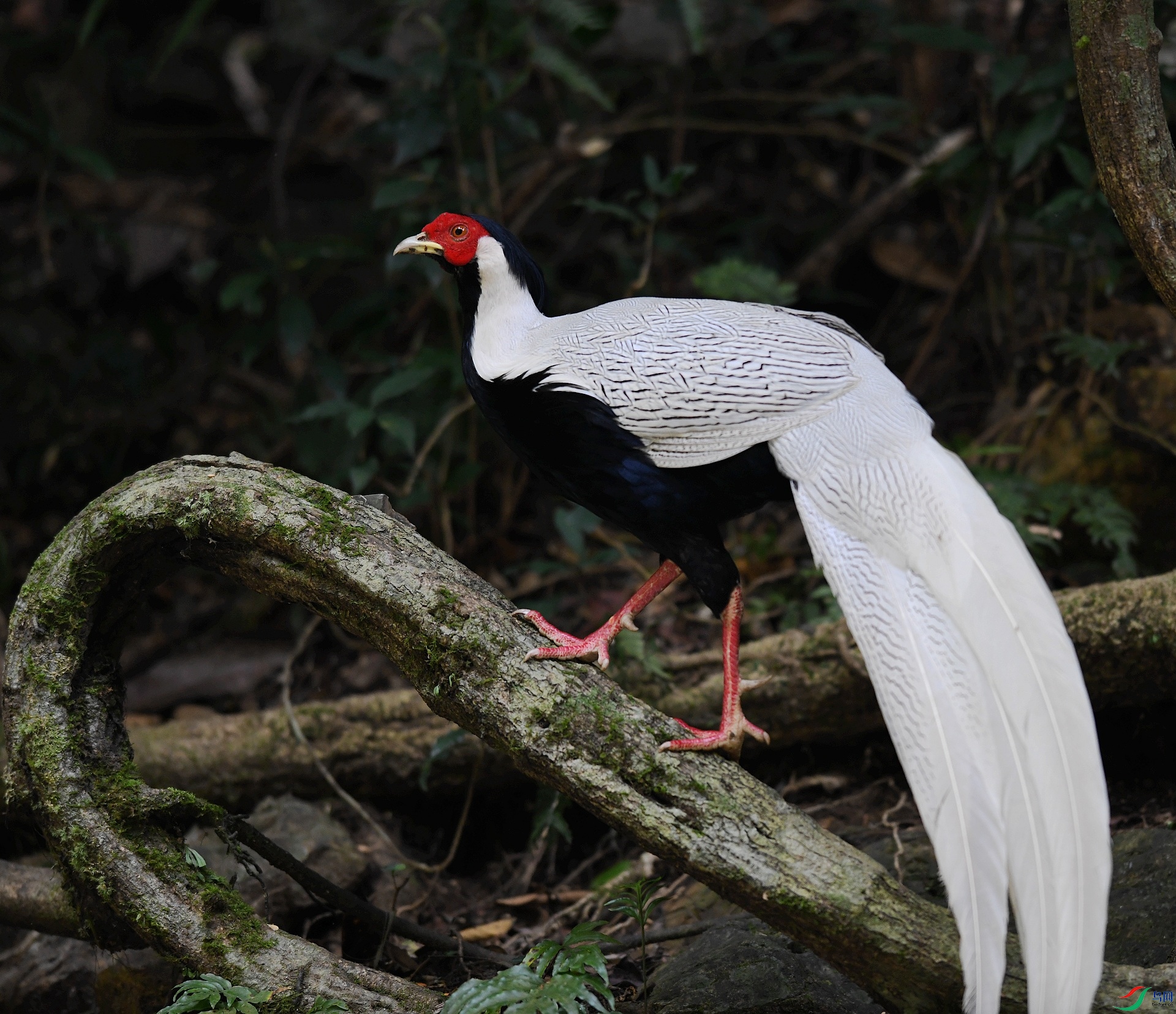 DSC_6282.jpg