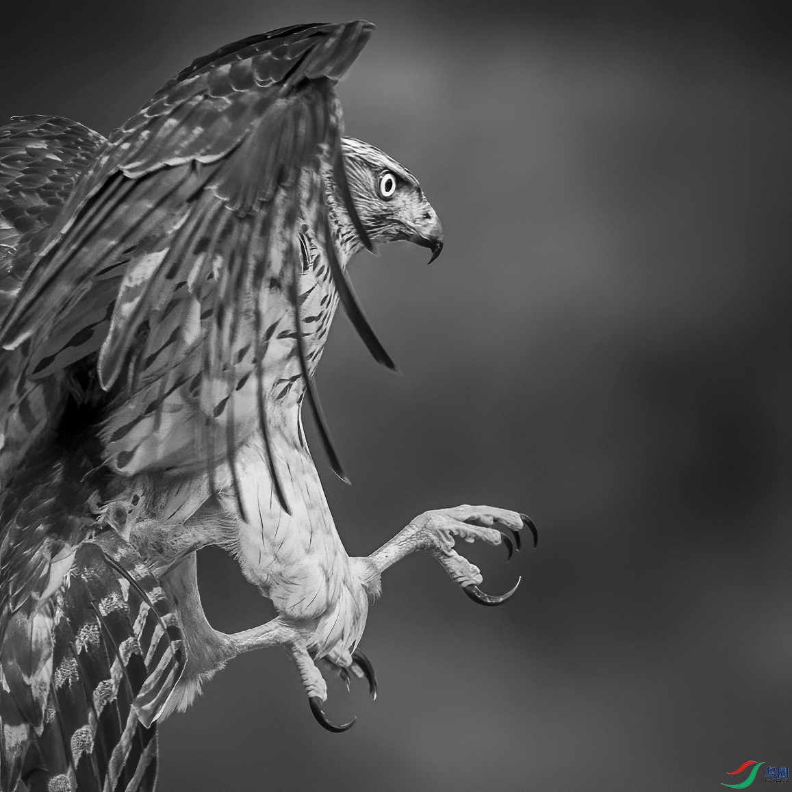 _D5D472800.jpg