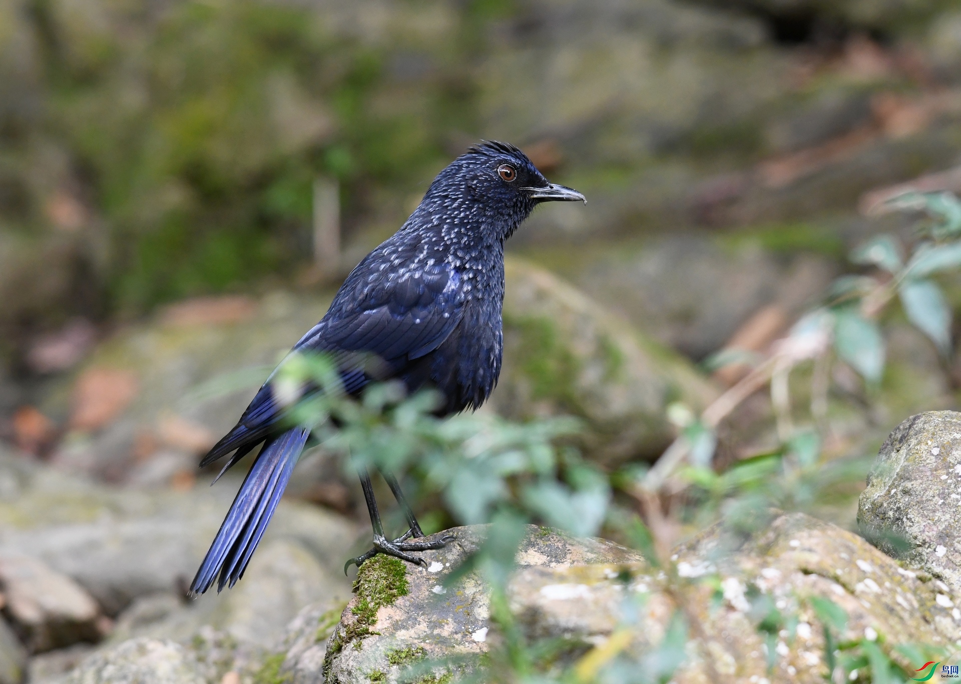 DSC_5814.jpg