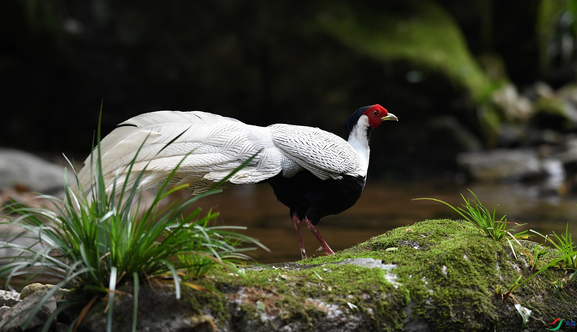 DSC_5939.jpg