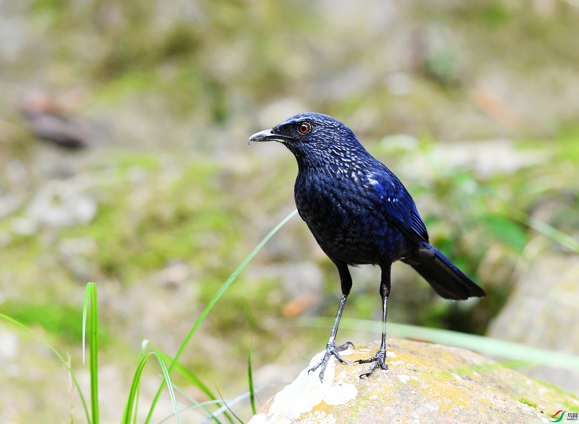 DSC_5792.jpg