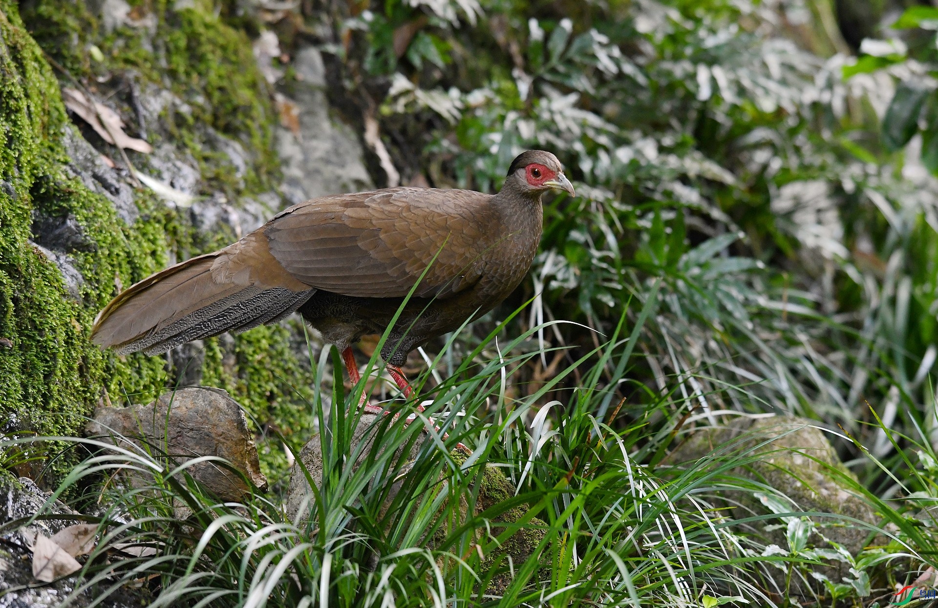 DSC_3777.jpg